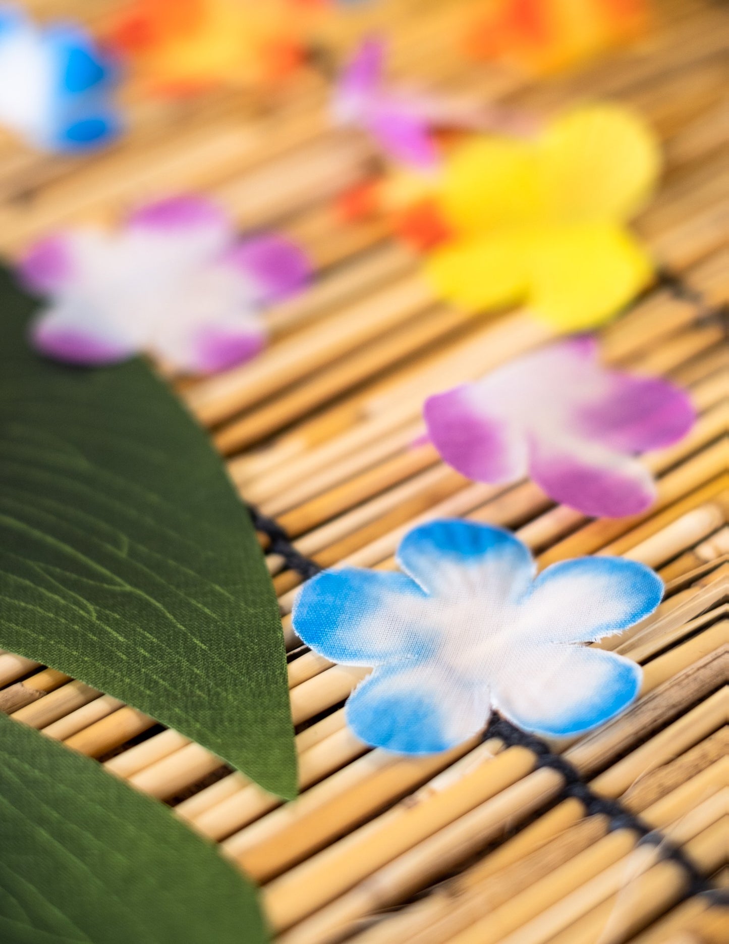 Gros plan sur les pétales colorés des fleurs décoratives Hawaï