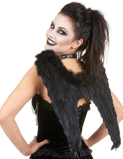 Halloween crna krila