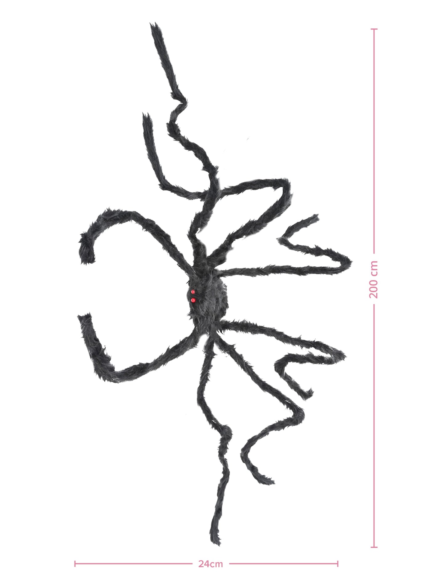 Dimensions de l'araignée géante pour Halloween