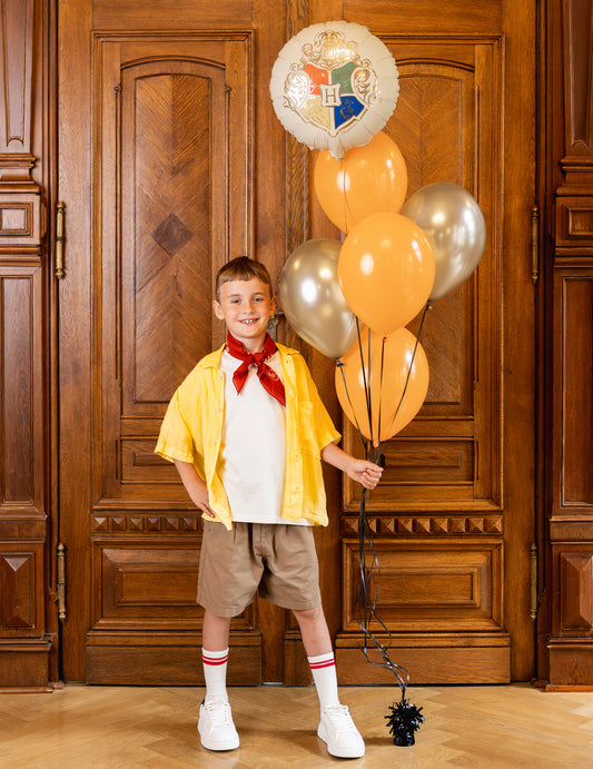Balon od folije Harry Potter™ Grb Hogwartsa 35 cm