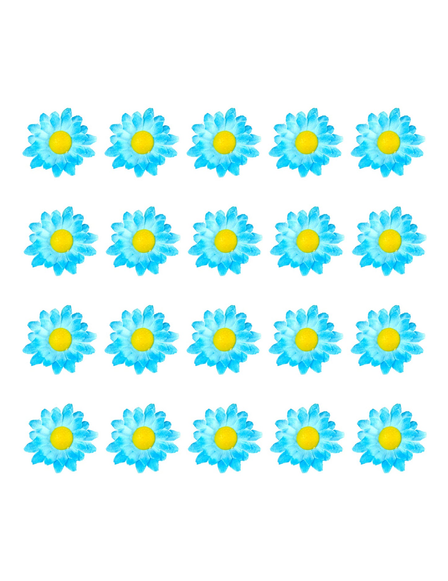 Kutija od 20 cvjetova plave tratinčice