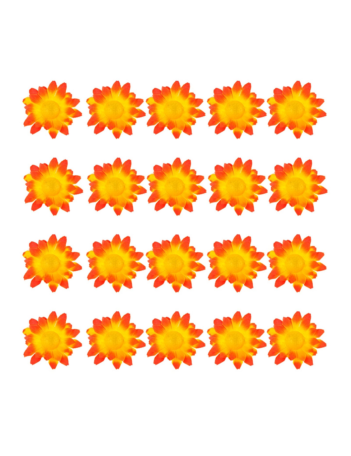 Kutija od 20 narančasto-žute cvjetove tratinčice