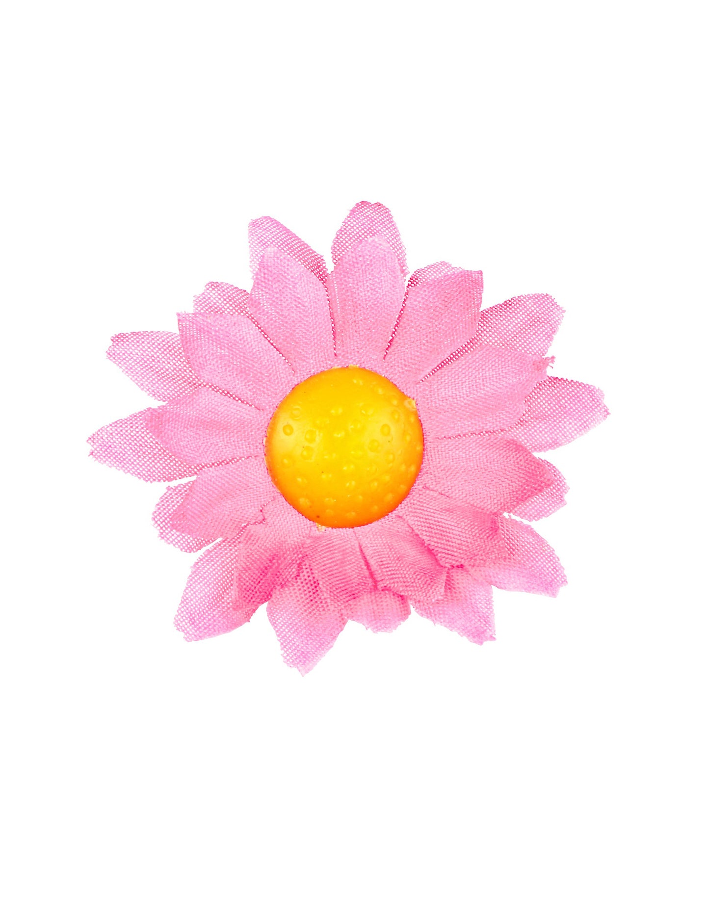 Kutija od 20 svijetlo ružičastih cvjetova Daisy