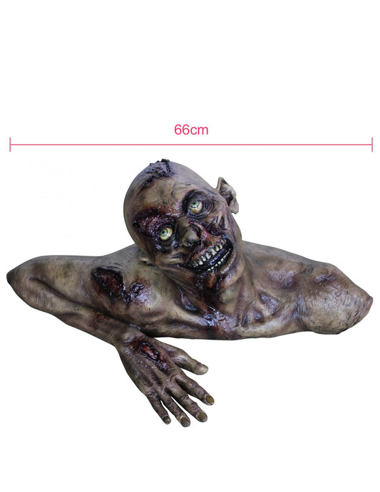 Dimensions du buste zombie décoratif pour Halloween