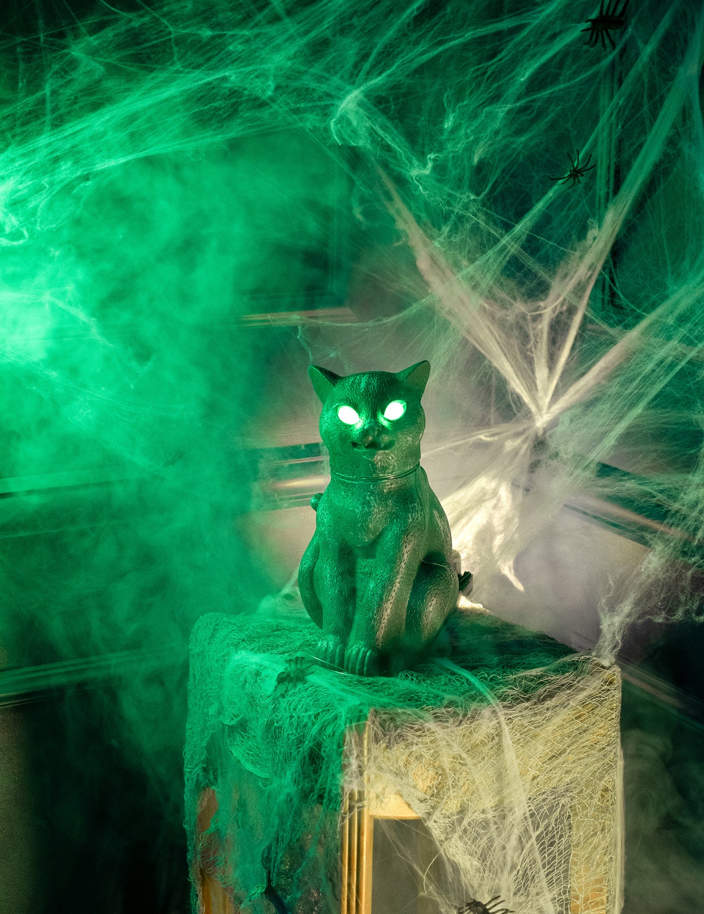 Crna mačka sjajna, zvučna i svijetla oči 30 cm