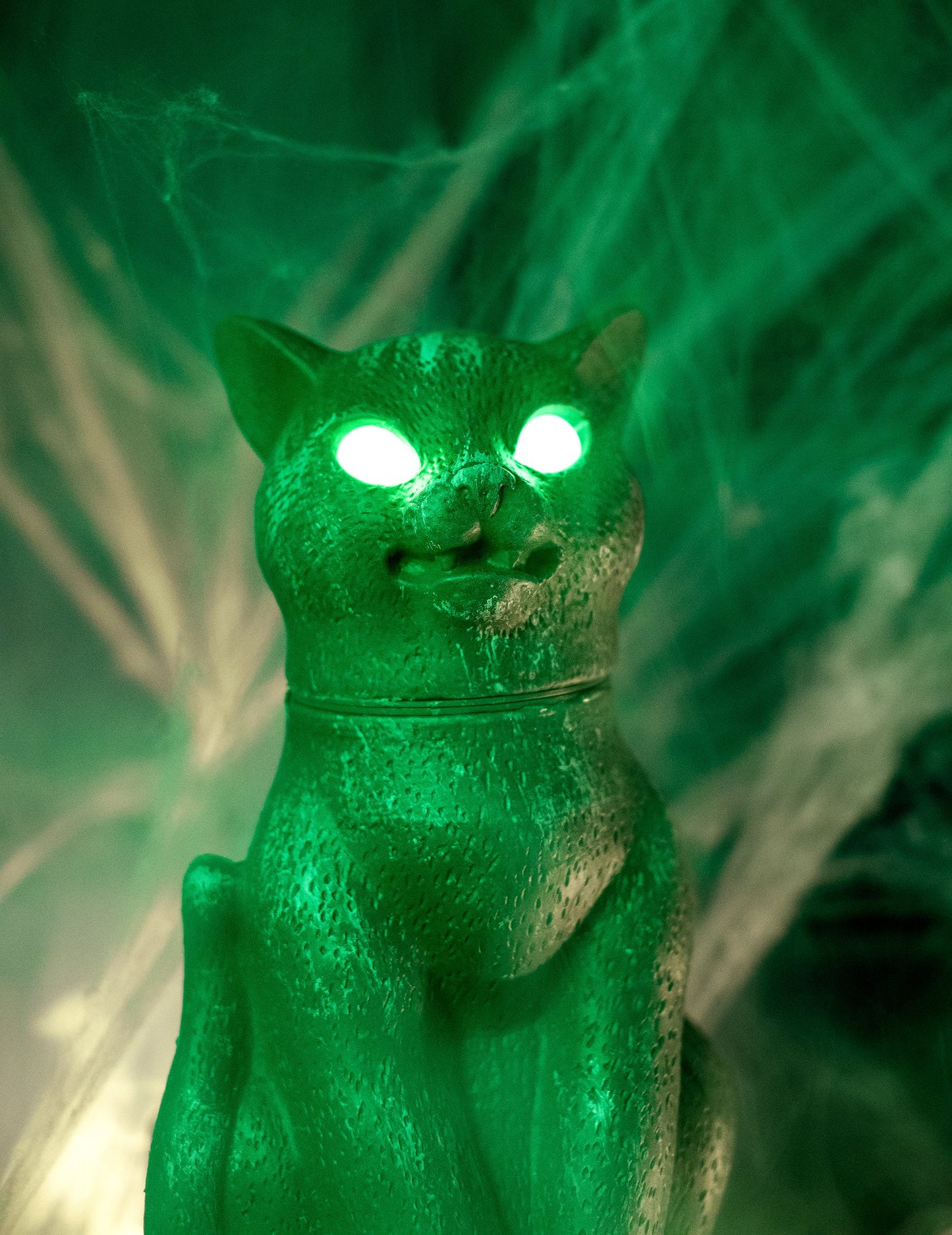 Crna mačka sjajna, zvučna i svijetla oči 30 cm