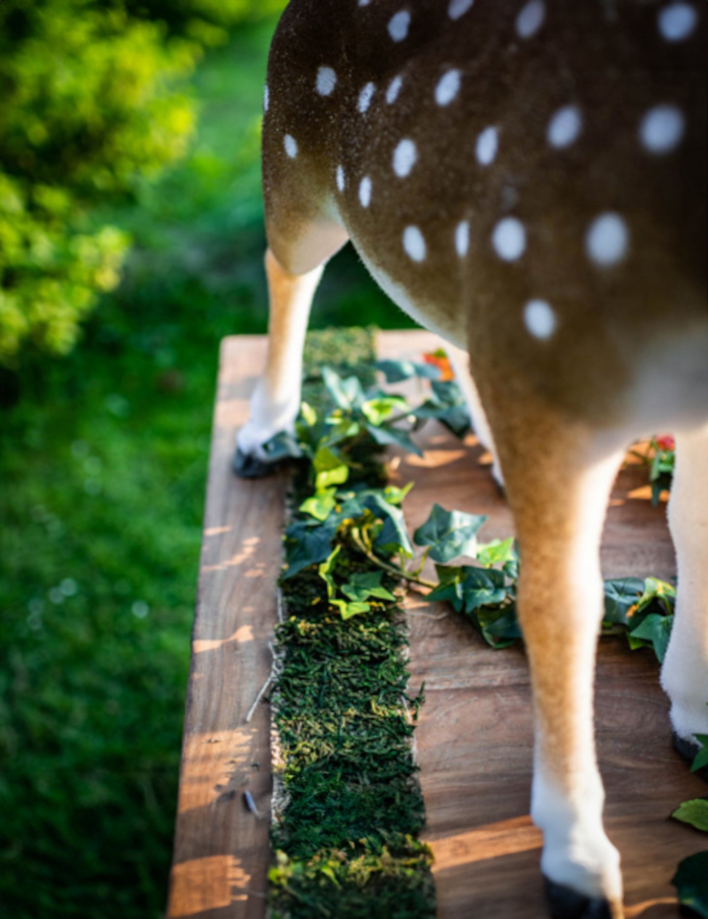 Mise en situation du chemin de table végétal effet forêt