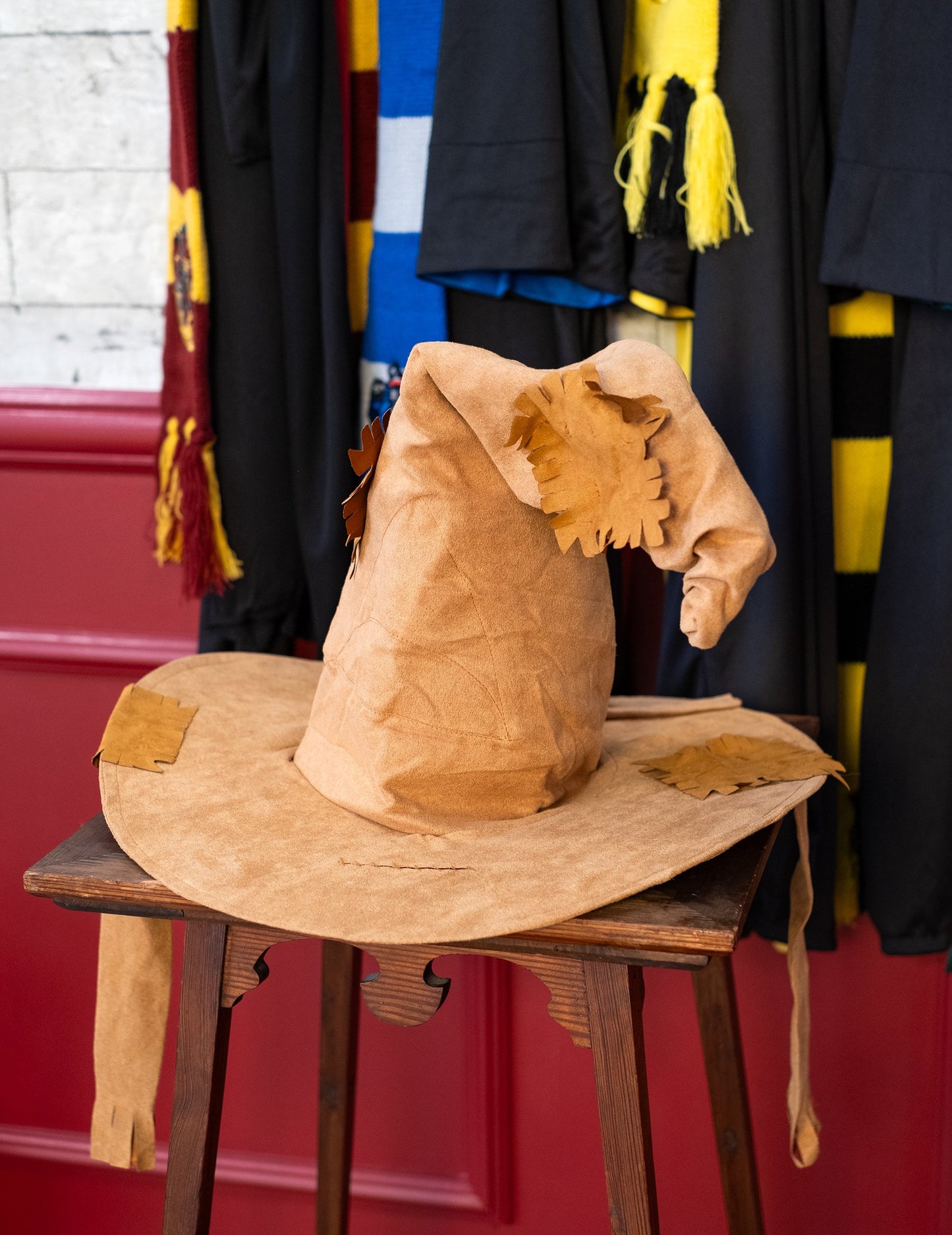 Izbor luksuzni Harry Potter odrasla osoba