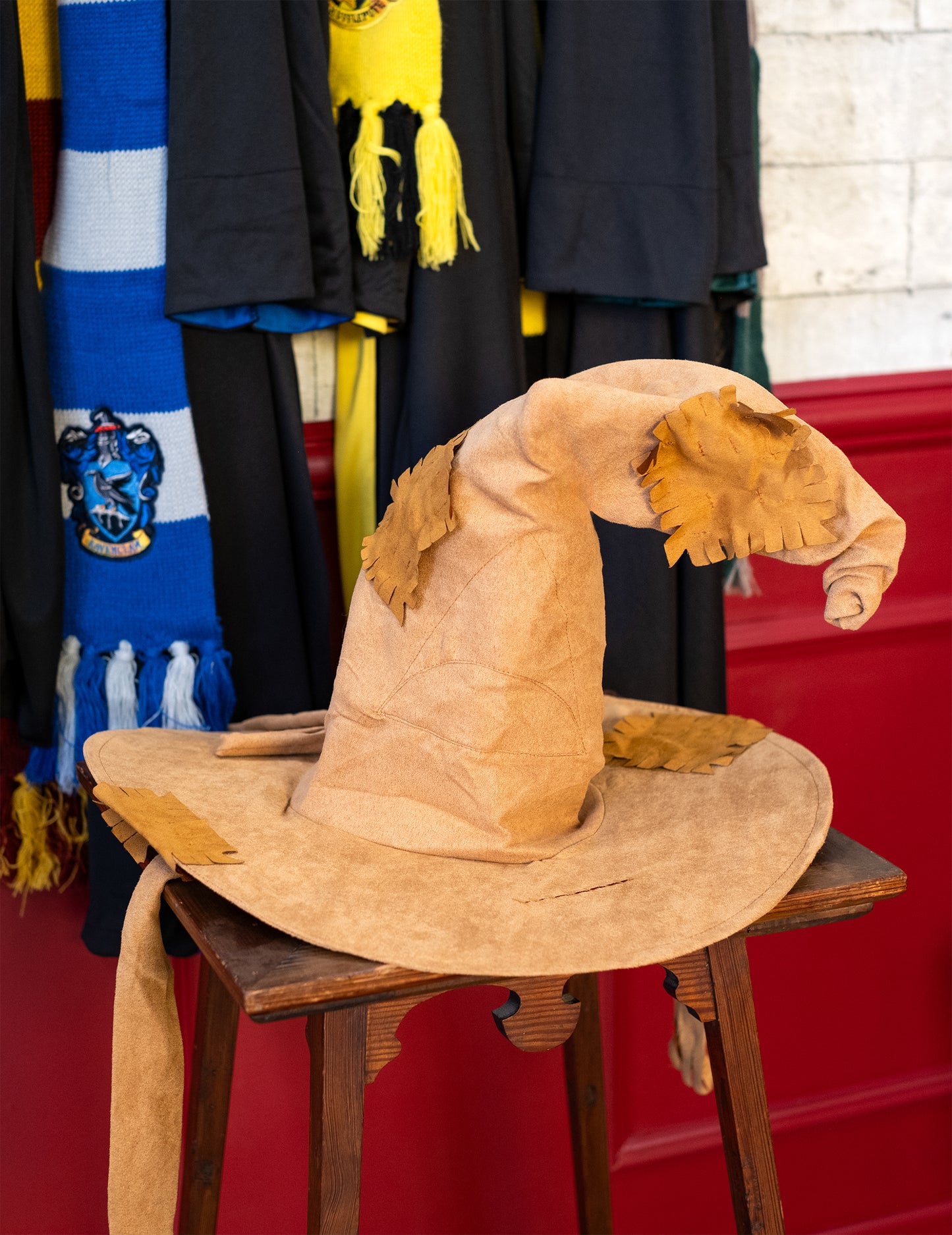 Izbor luksuzni Harry Potter odrasla osoba