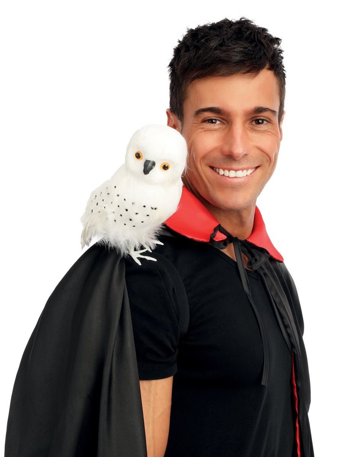 Sorcierova bijela sova