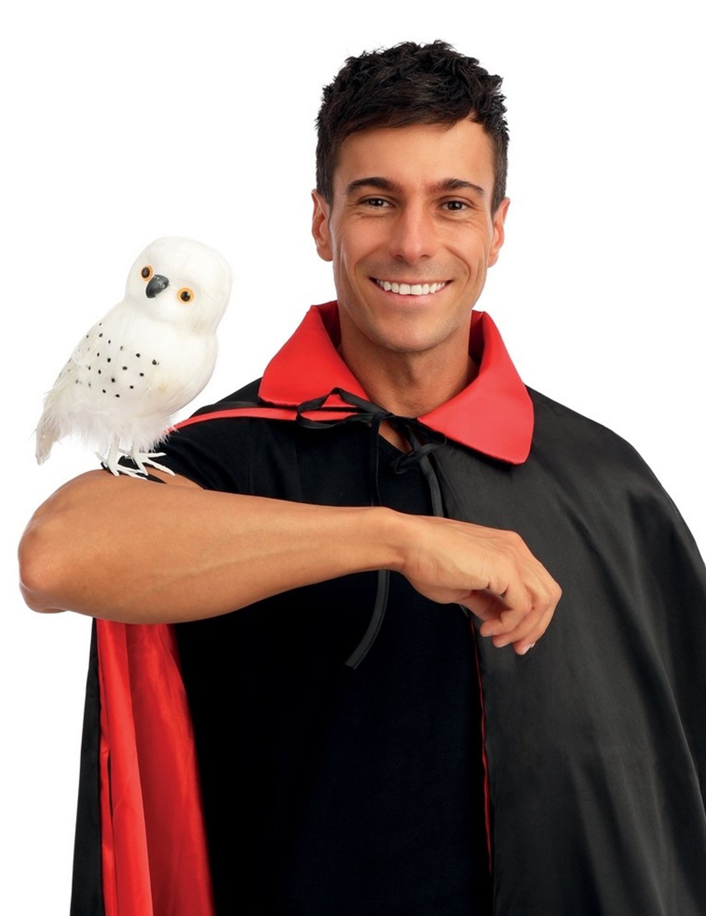 Sorcierova bijela sova