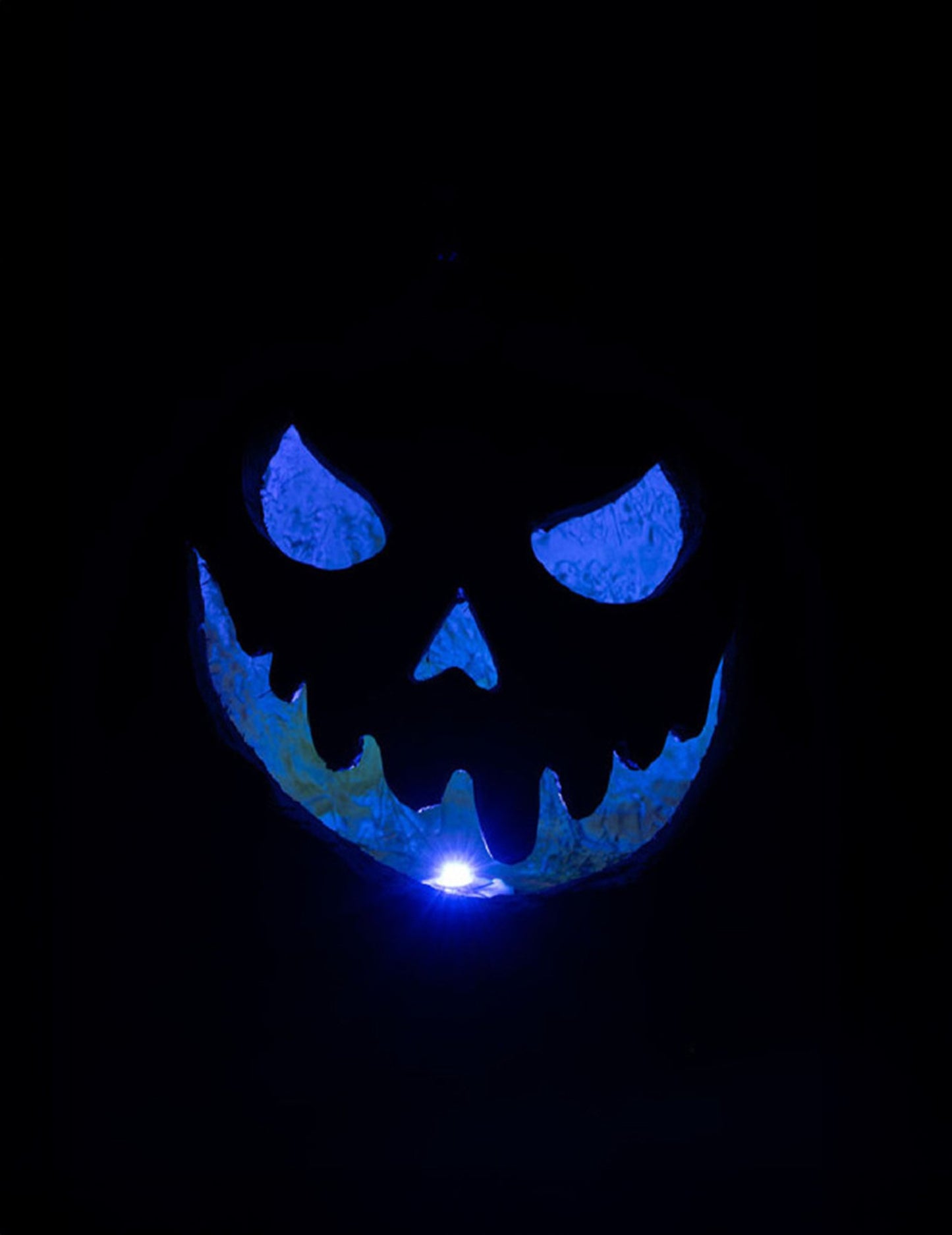 Svijetla jeziva bundeva 33 cm