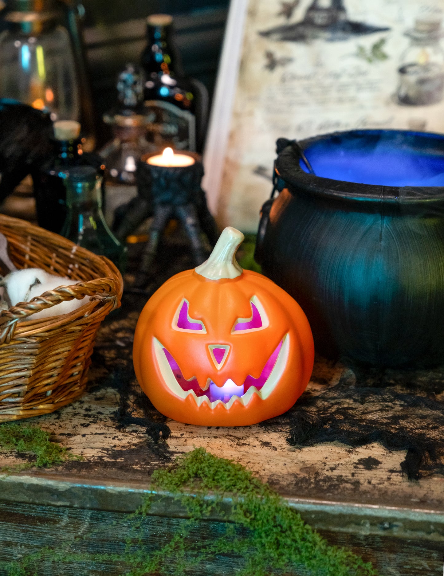 Svijetla bundeva 13 cm