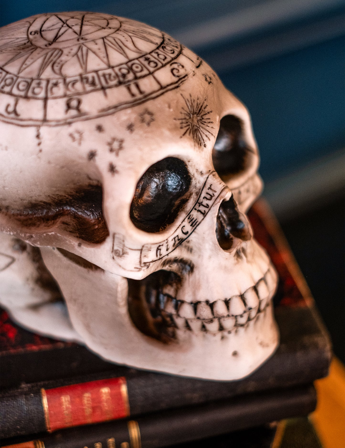 Skeleton lubanja s pentagramom 18 x 12 x 15 cm