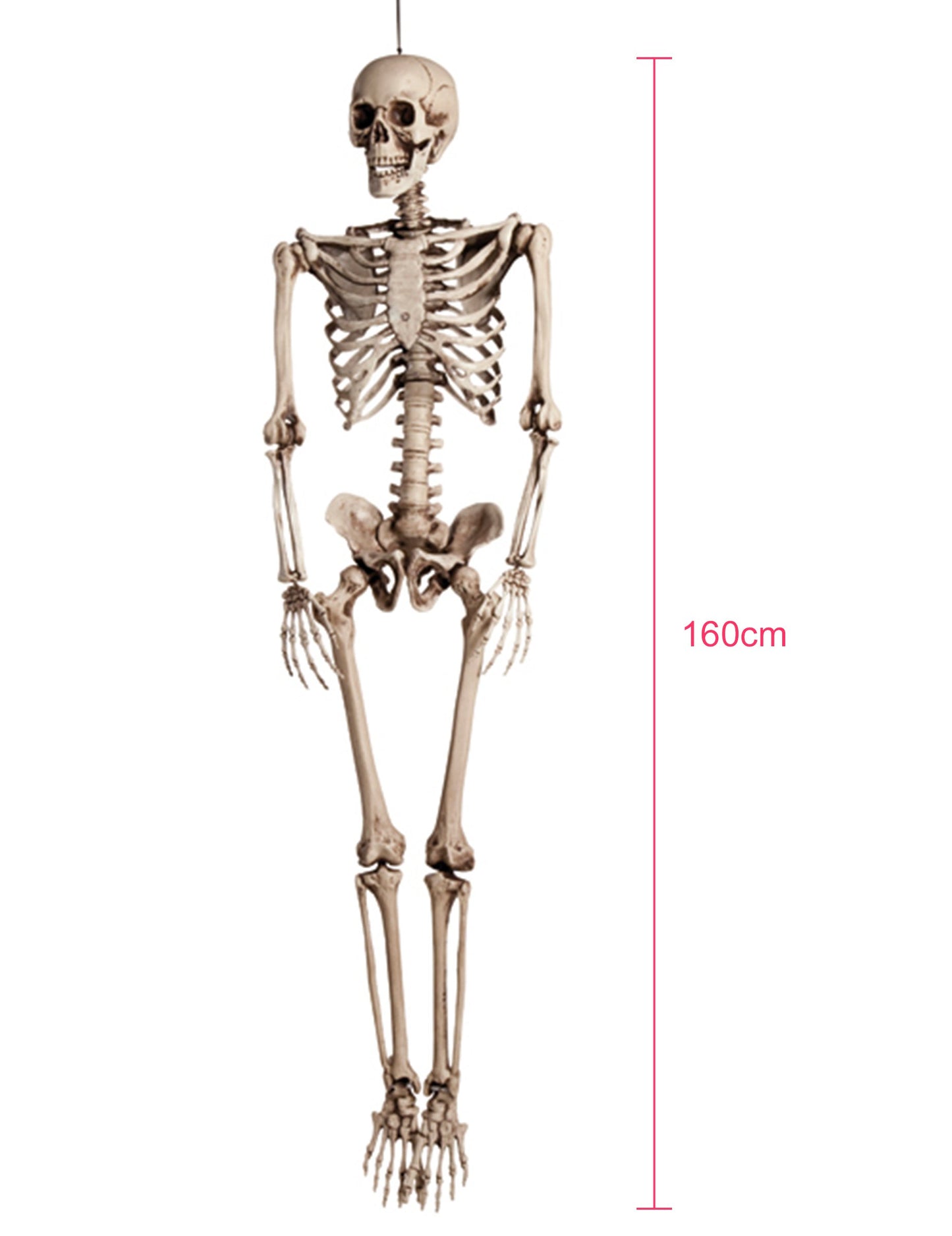 Dekoracija za objesiti kostur za ljudske tait 160 cm