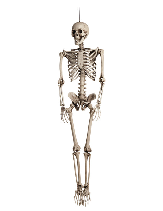 Dekoracija za objesiti kostur za ljudske tait 160 cm