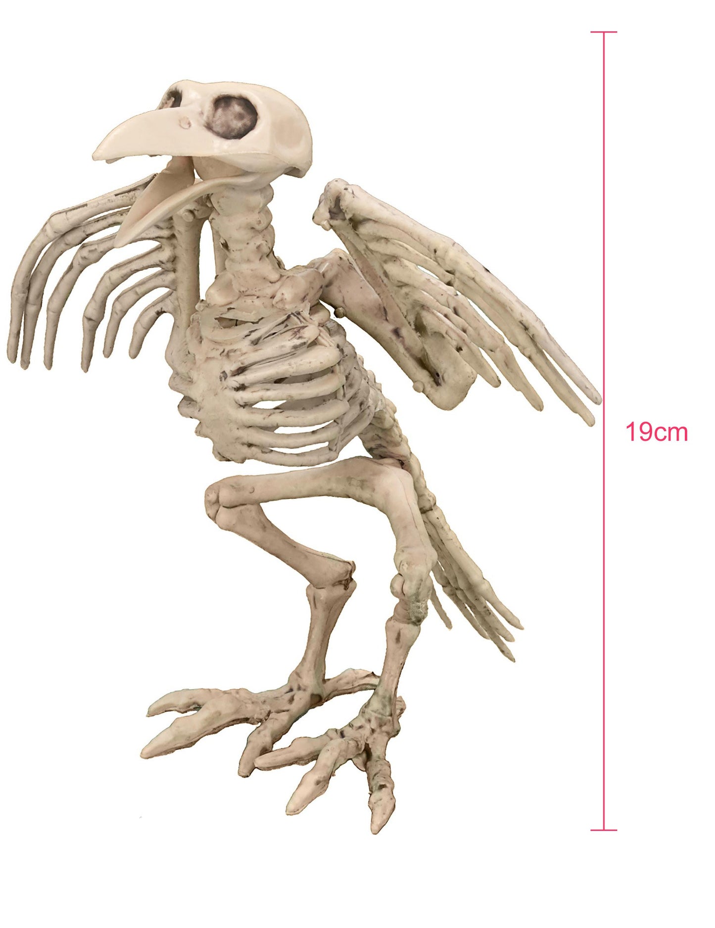 Corbeau Skeleton Dekoracija 19,5 cm Noć vještica