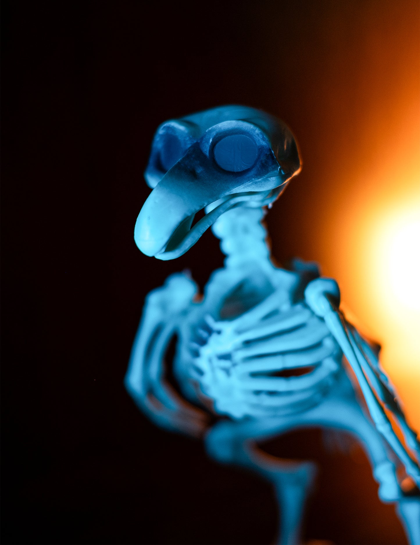 Corbeau Skeleton Dekoracija 19,5 cm Noć vještica