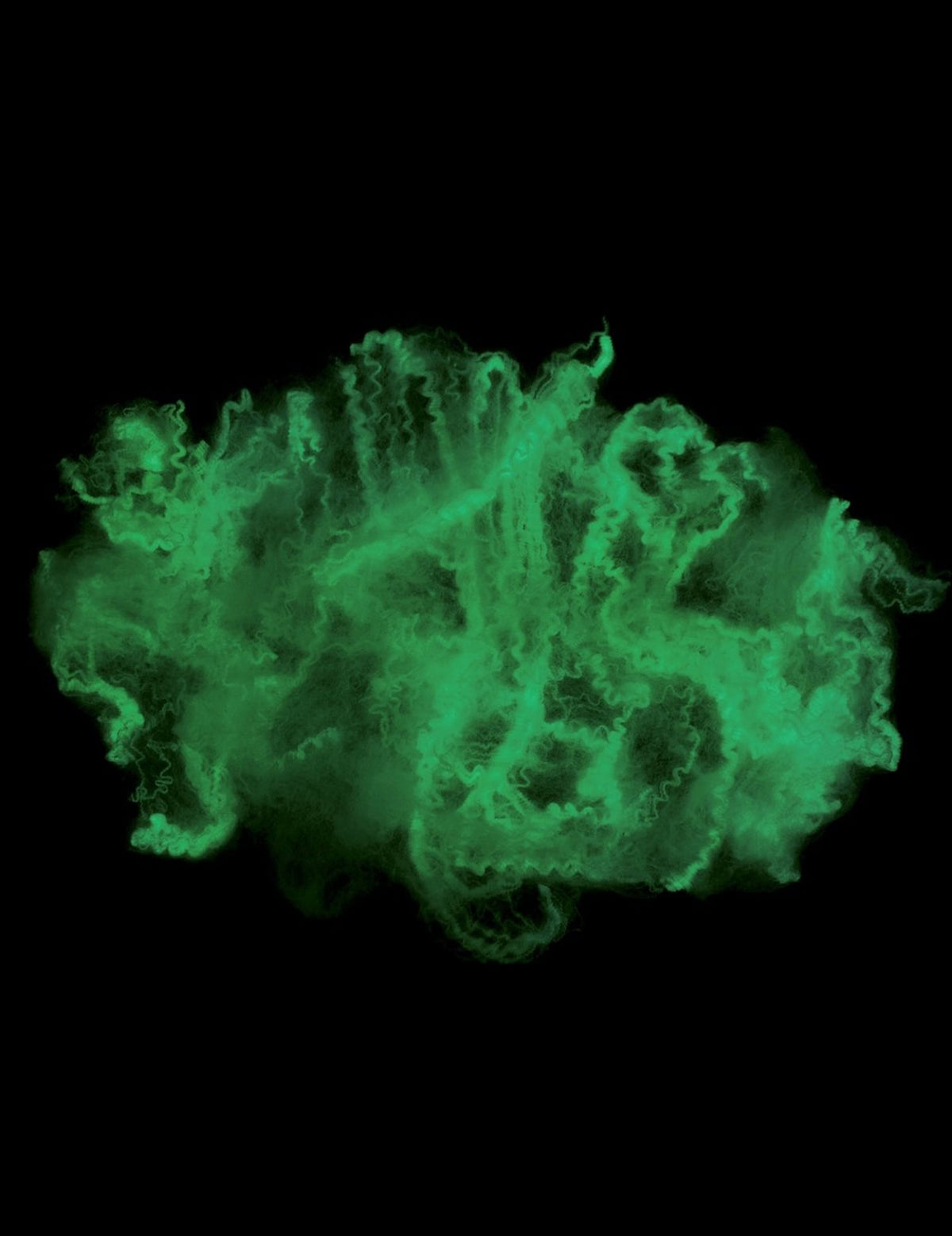 Rendu phosphorescent dans le noir de la toile d'araignée pour Halloween