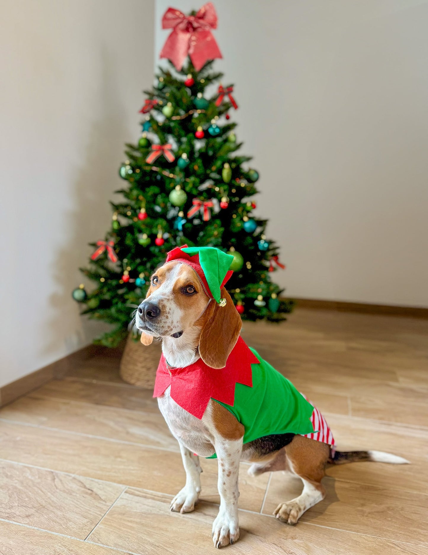 Vue de profil du déguisement elfe de Noël pour chien