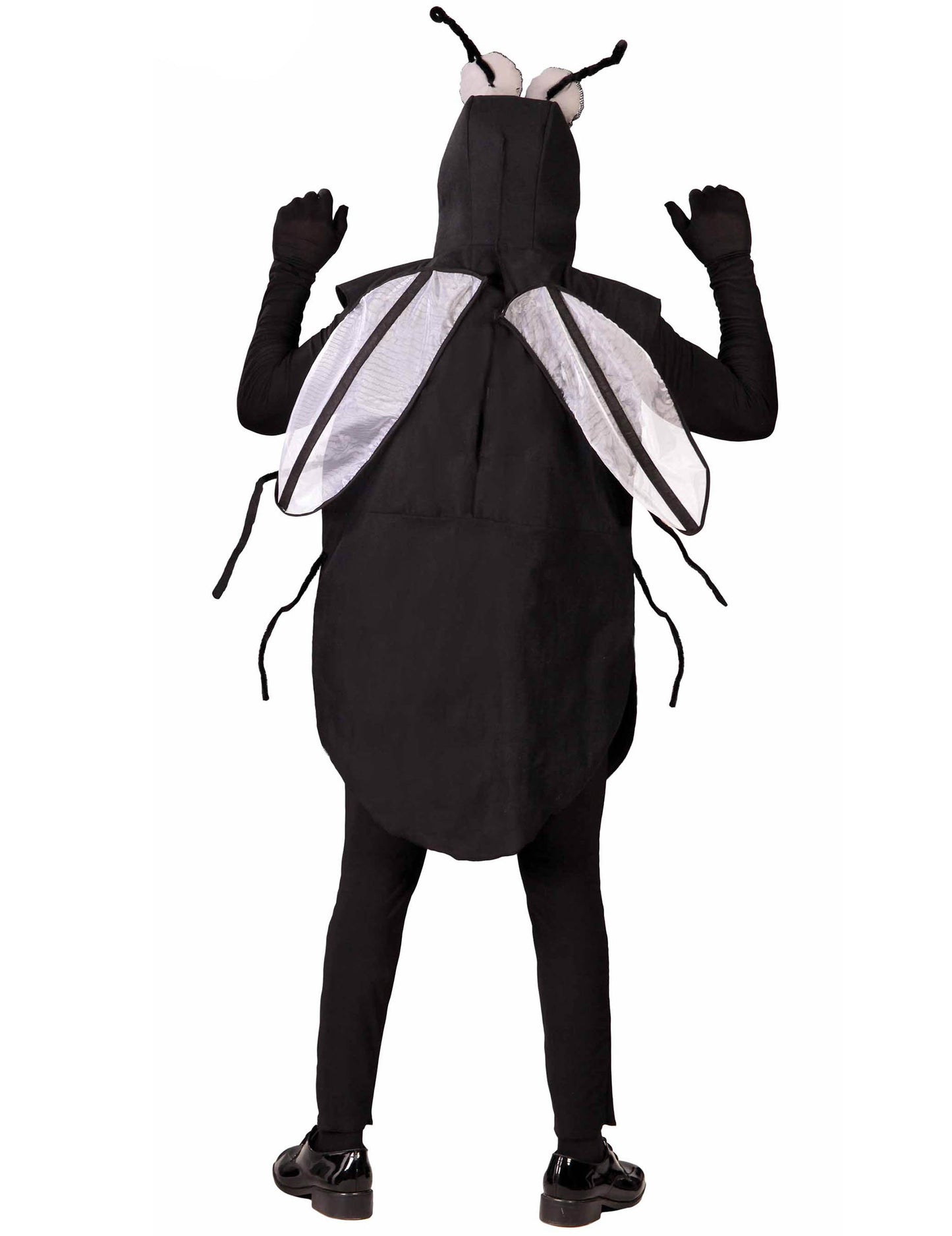 Muška muha prerušena