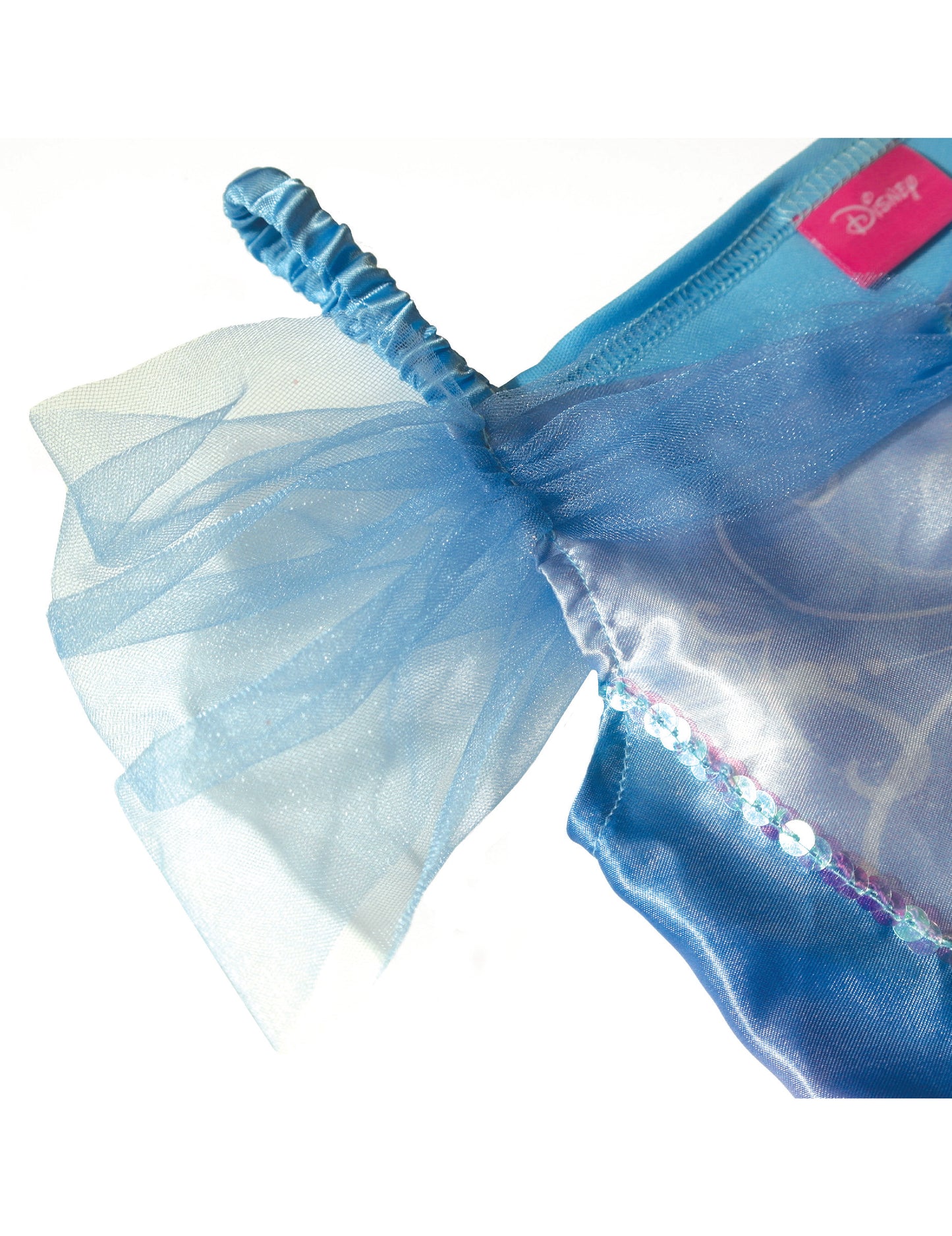 Pepeljuga djevojka princeza prerušena djevojka