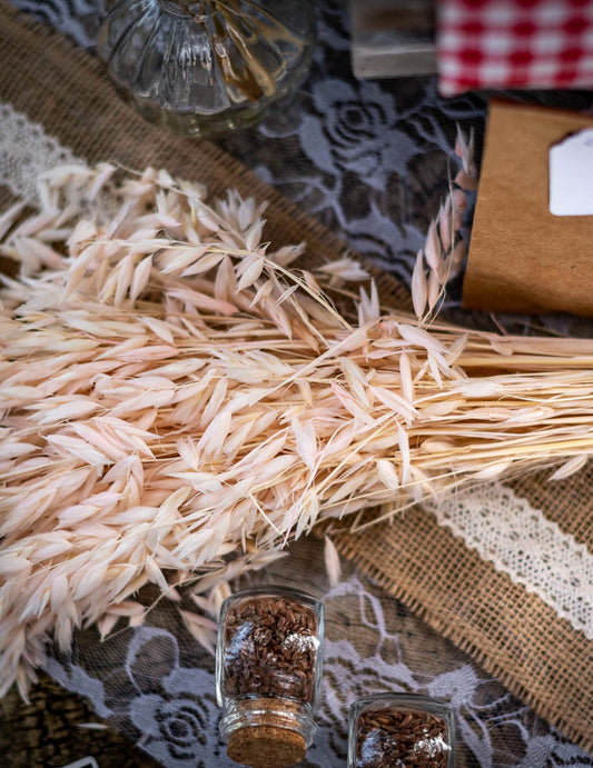 Gros plan sur les plumeaux de l'épi d'avoine séché ambiance champêtre