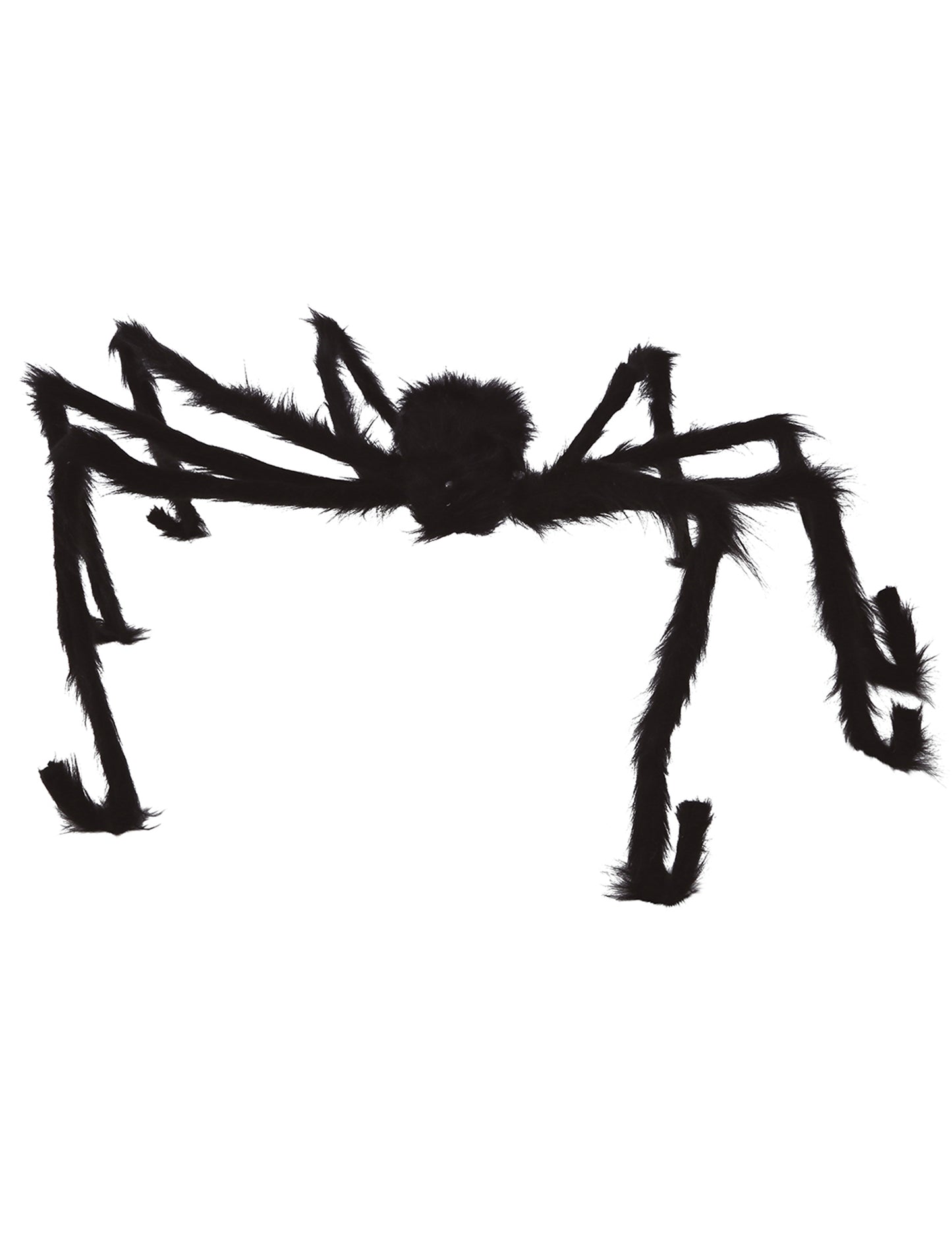 Veliki crni pauk 150 cm