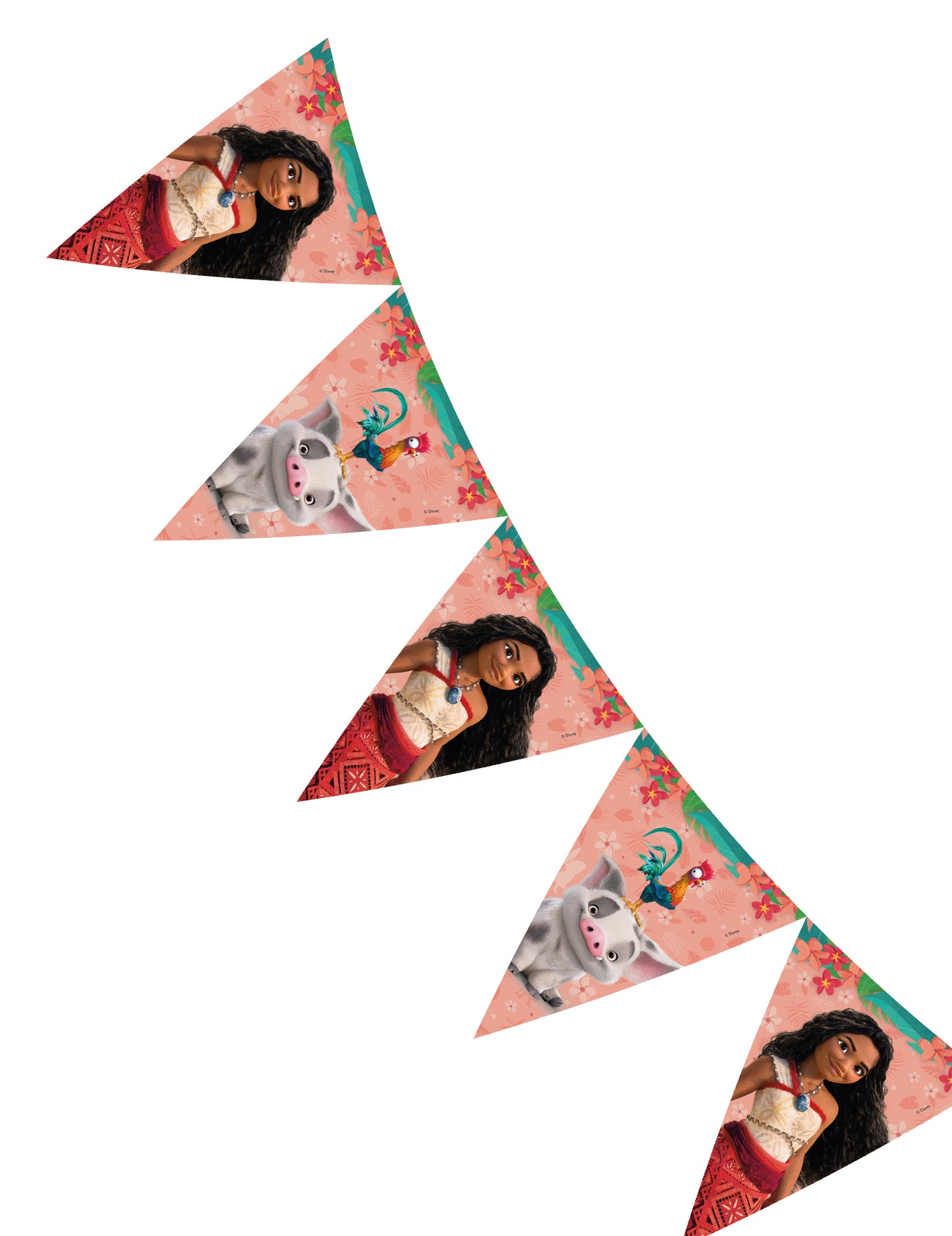 Garland Pennant Vaiana 2