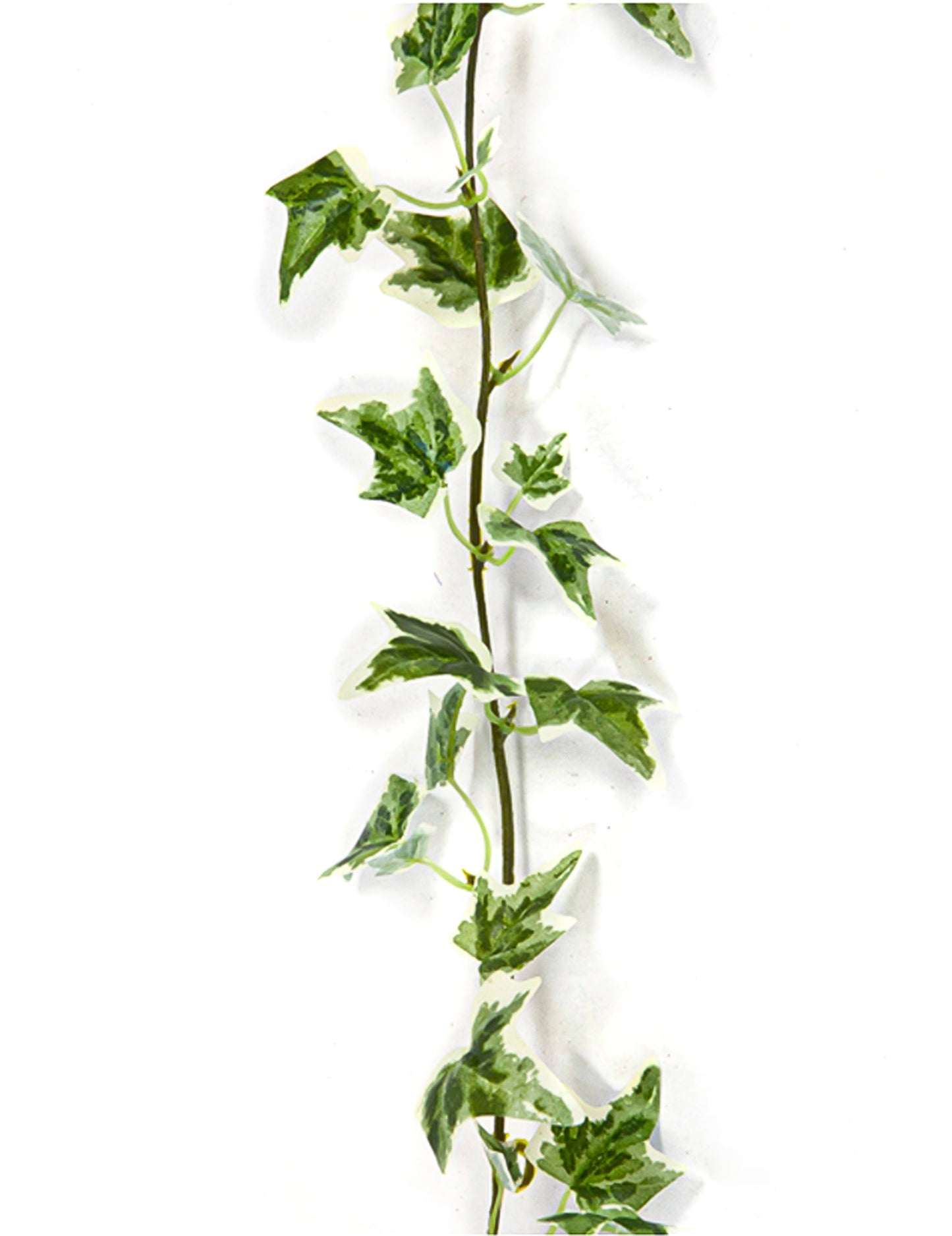 Guirlande de lierre artificielle pour décoration panaché vert et blanc