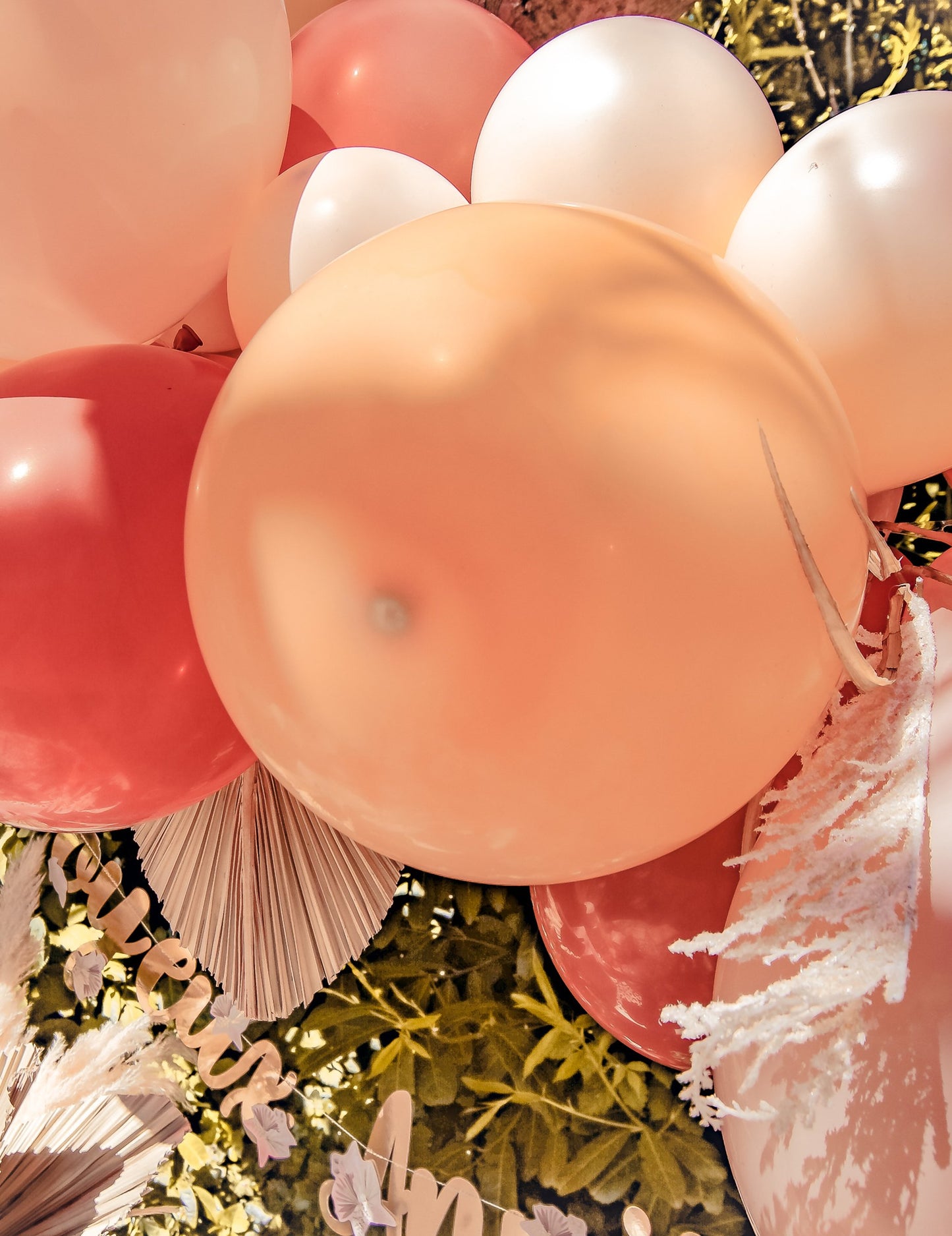 Ark Kit od 70 boho balona s Pampom i suhim lišćem