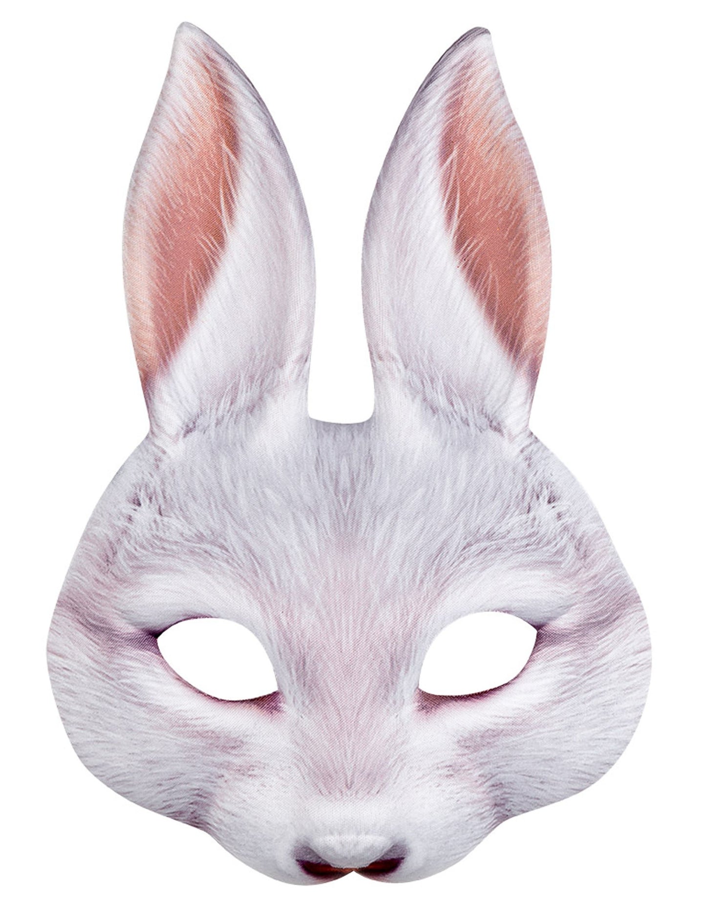 Vue de face du loup lapin