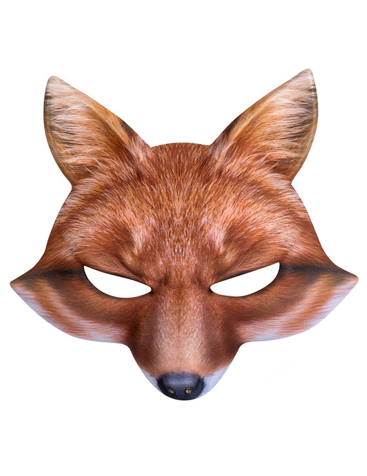 Vue de face du loup renard