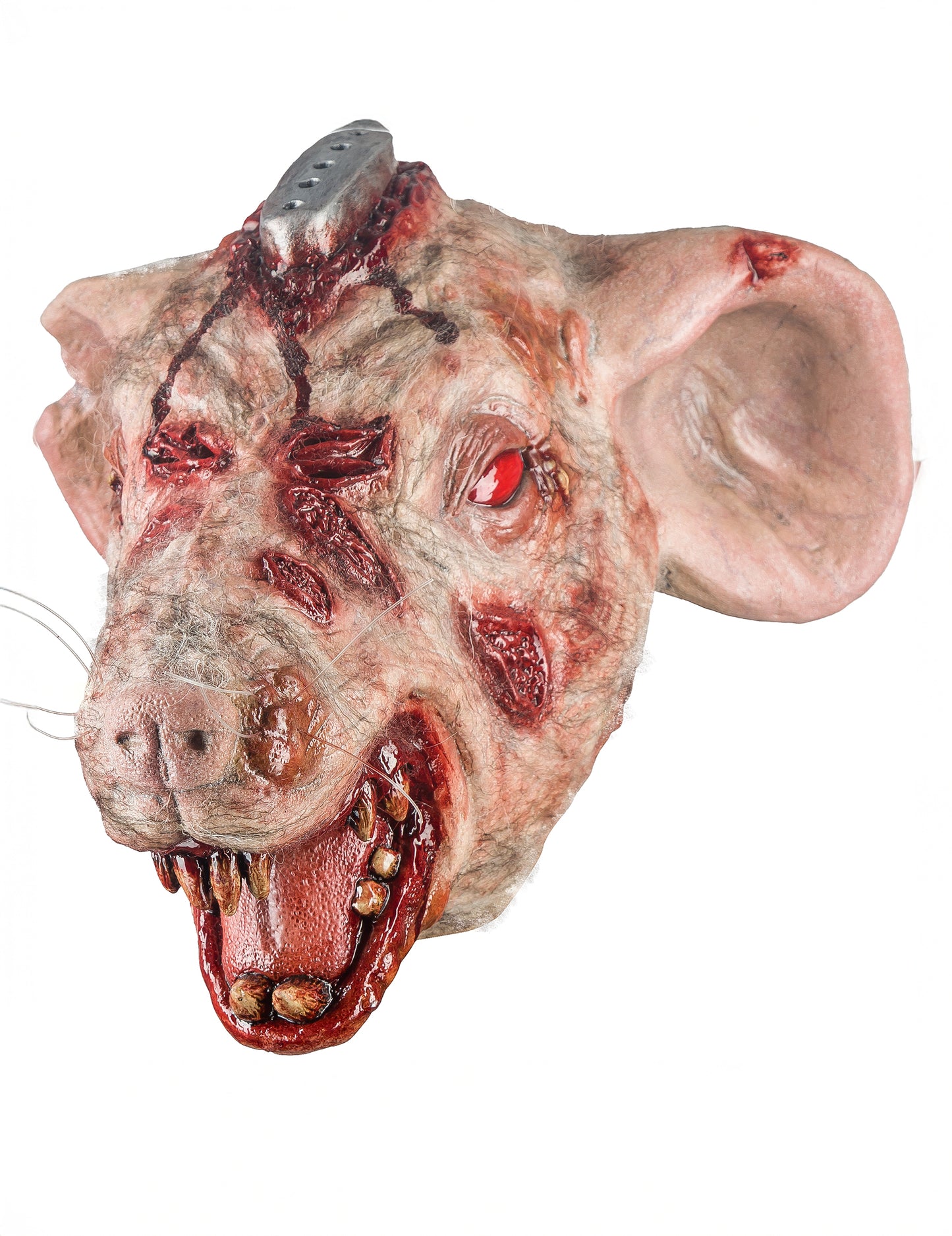 Odrasli laboratorijski štakor puni maska za lice