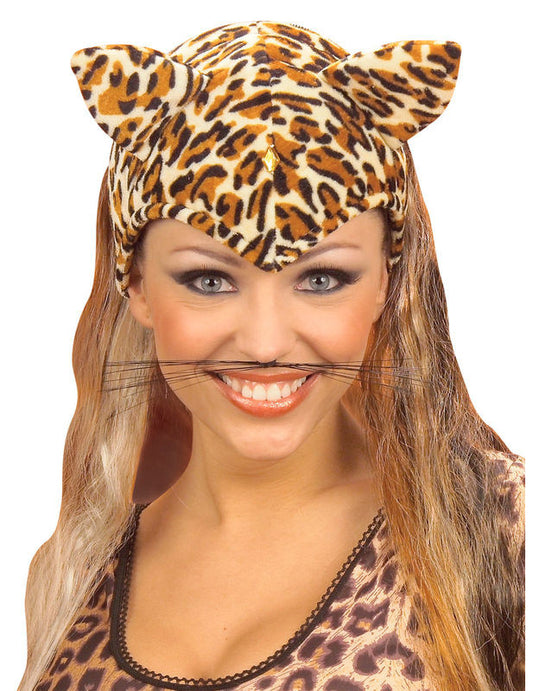 Vue de face de la moustache de chat