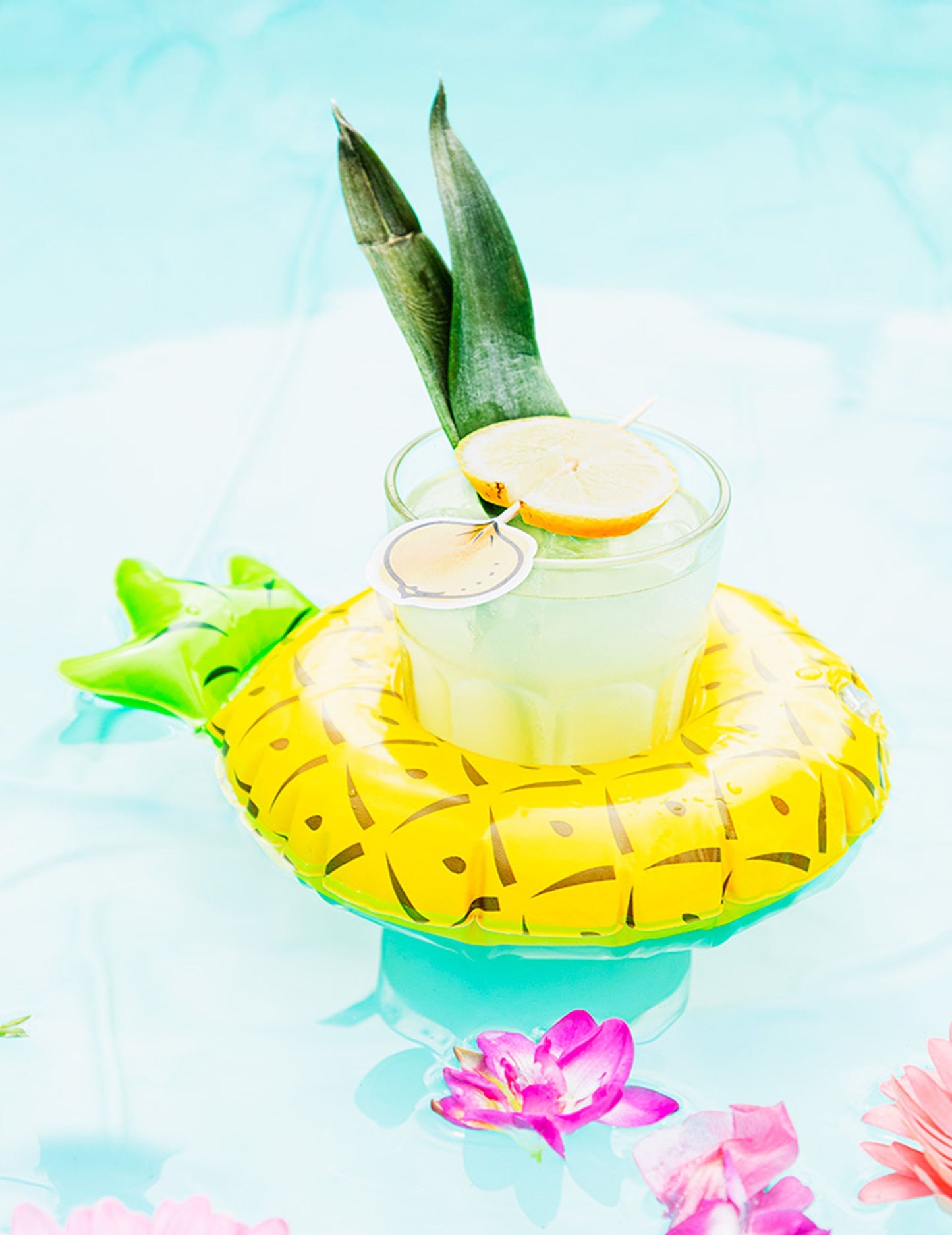 Držač za puhanje ananasa