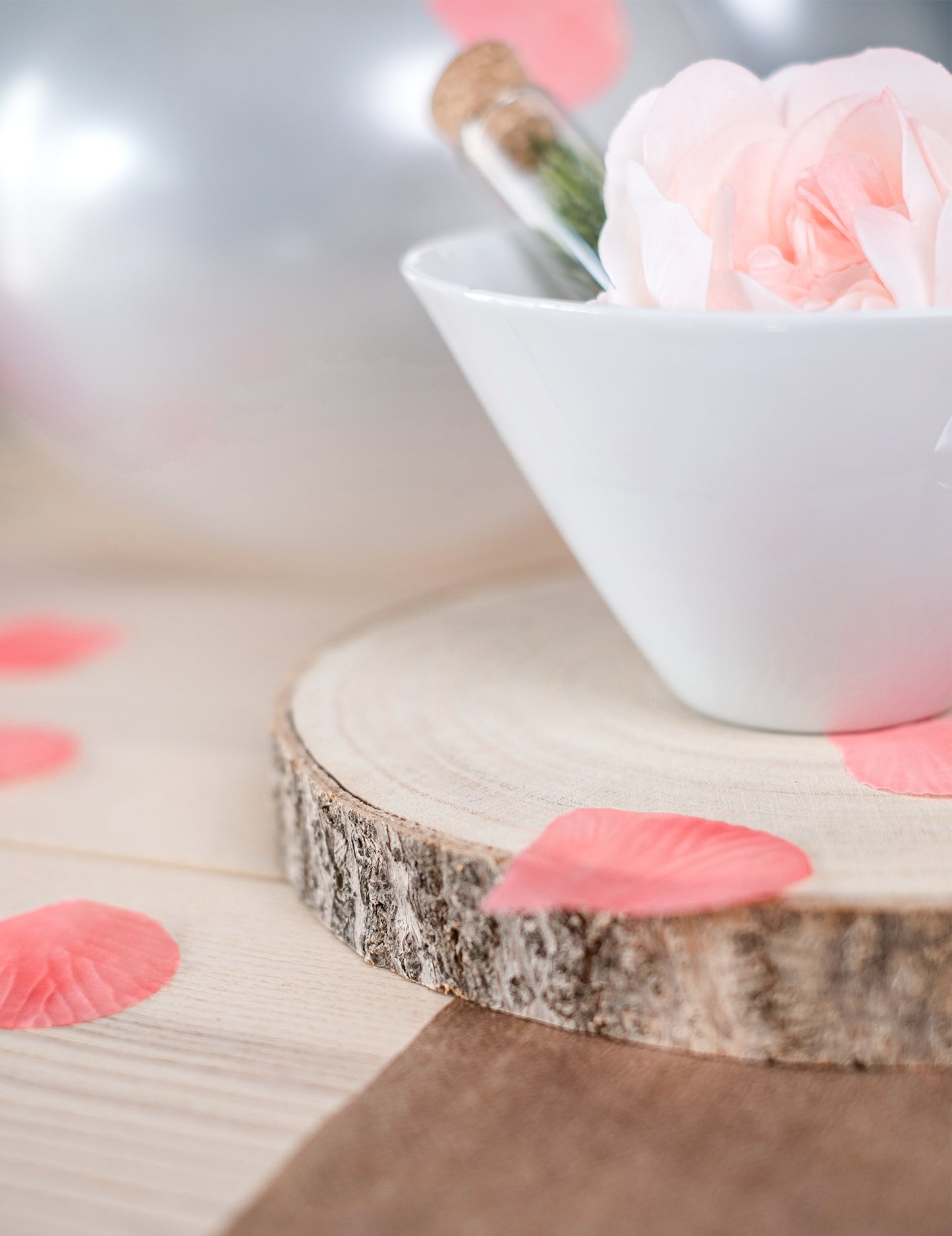 Prirodni drveni kolut od platane 20 do 28 cm