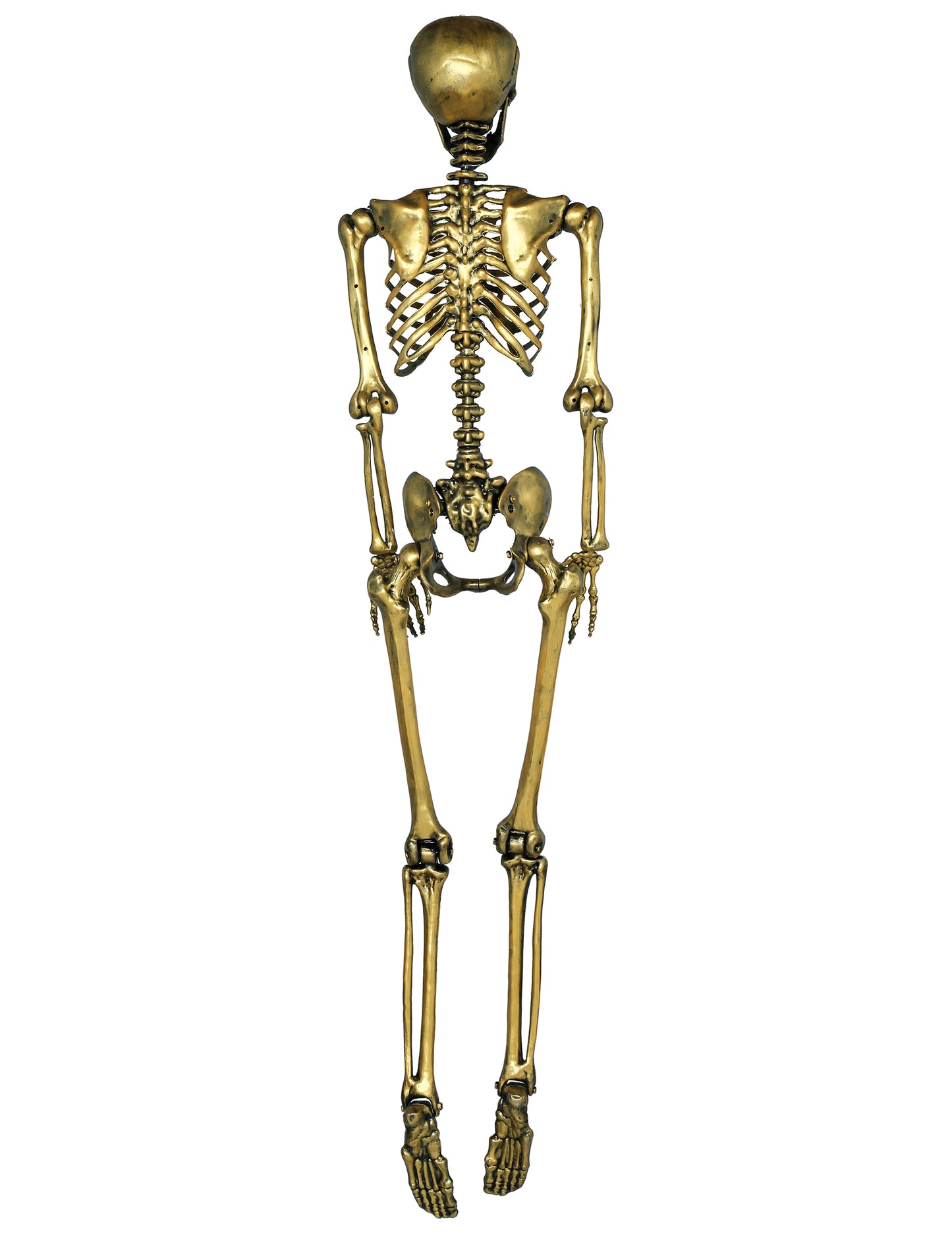 Zlatni viseći kostur 90 cm