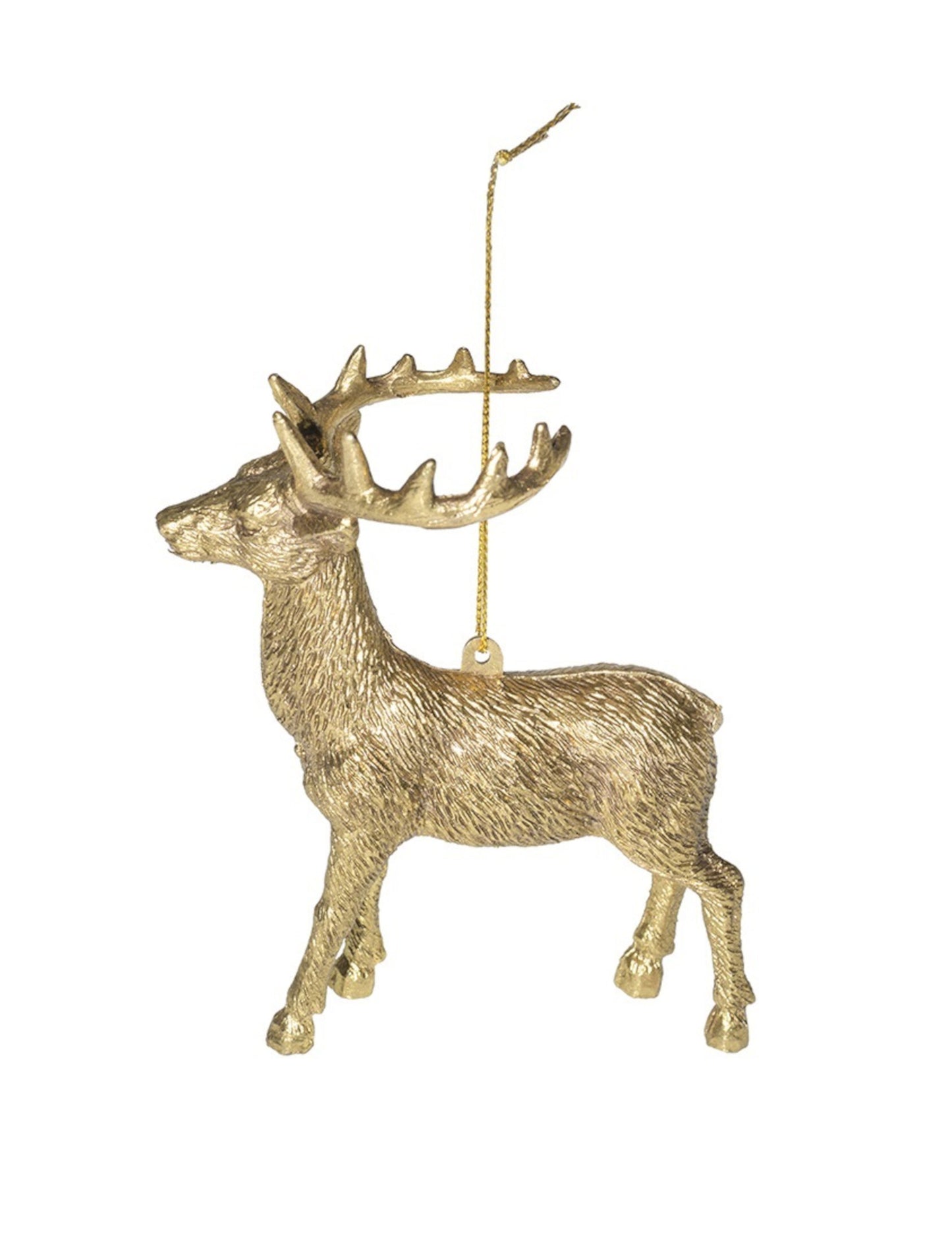 Ovjes za zlatni Cerf FIR 14 cm