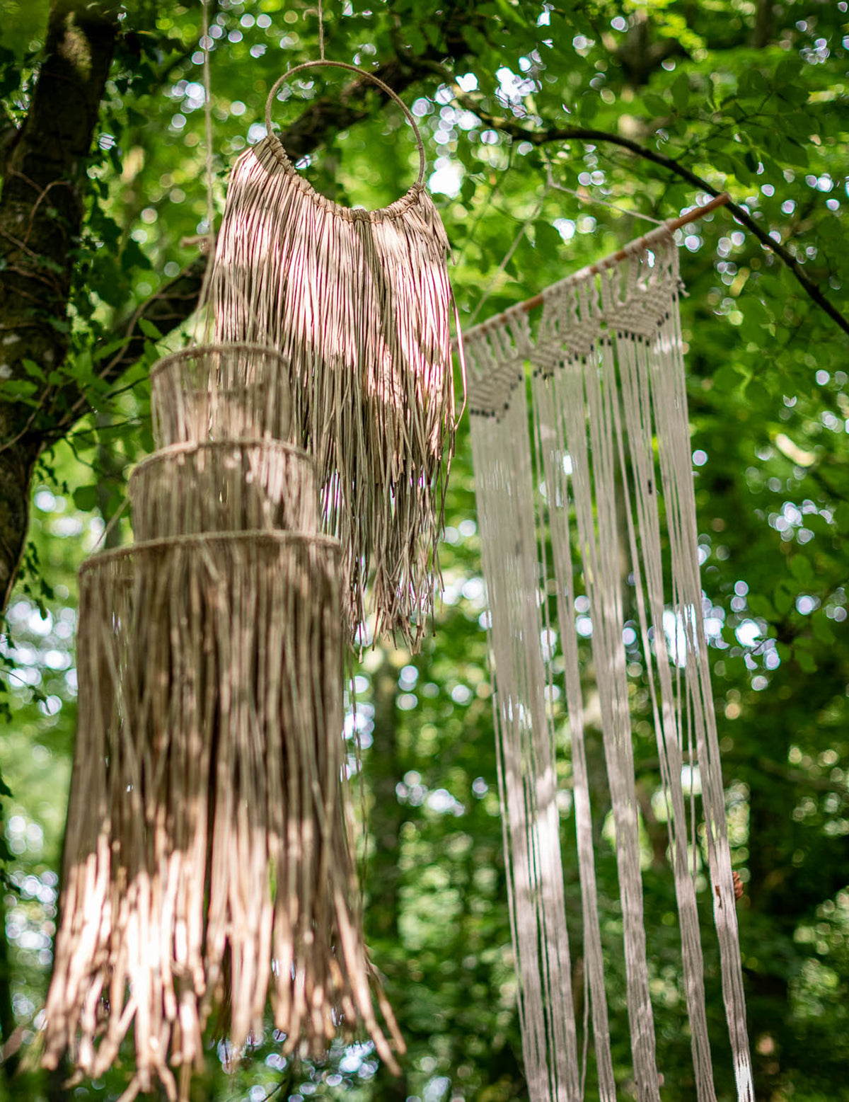 Mise en situation dans un arbre de la suspension ronde style attrape-rêves
