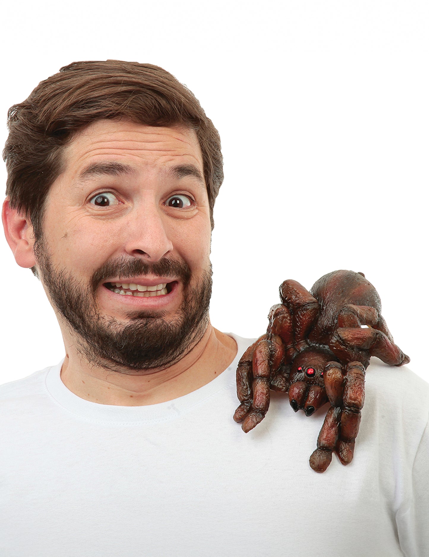 Tarantula za odrasle rame