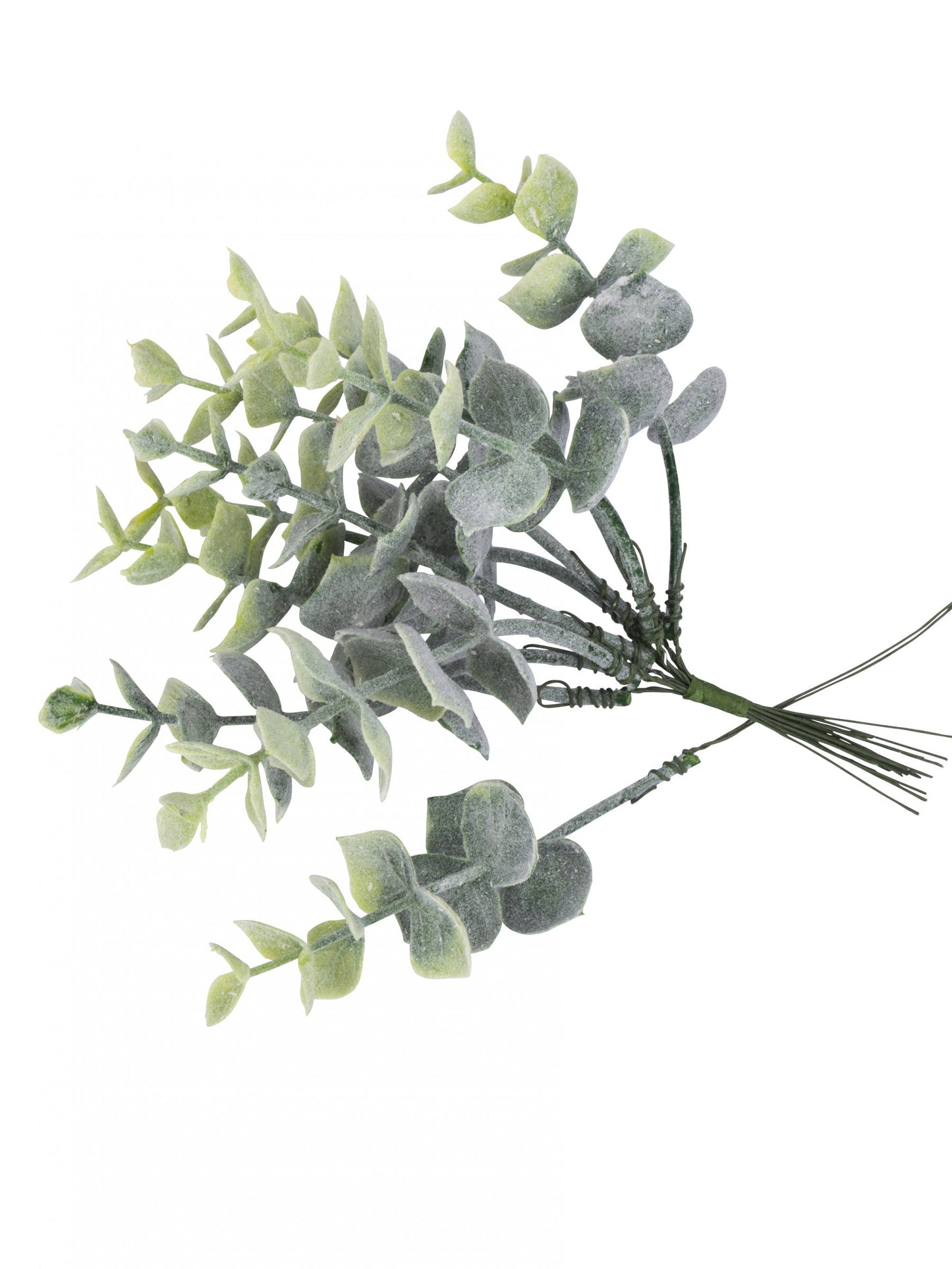 10 grana eukaliptusa prekrivenih snijegom na stabljici 17 cm za vjenčanje