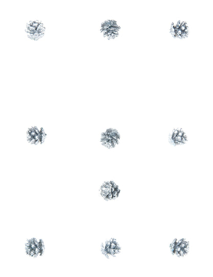 Vue d'ensemble des 10 mini pommes de pin pailletées de Noël argentées