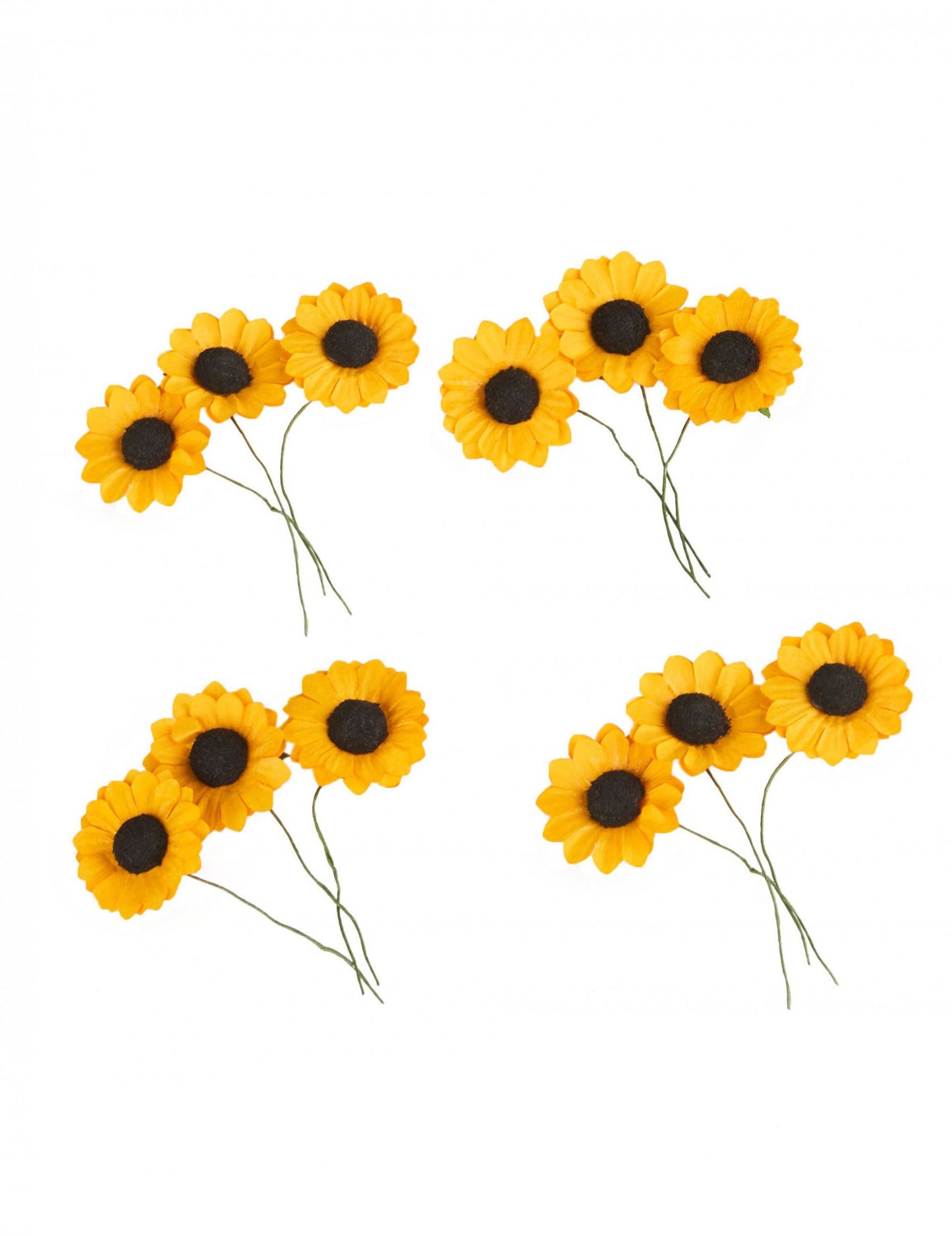 12 žutih poljskih cvjetova 2,5 cm tipa suncokreta 