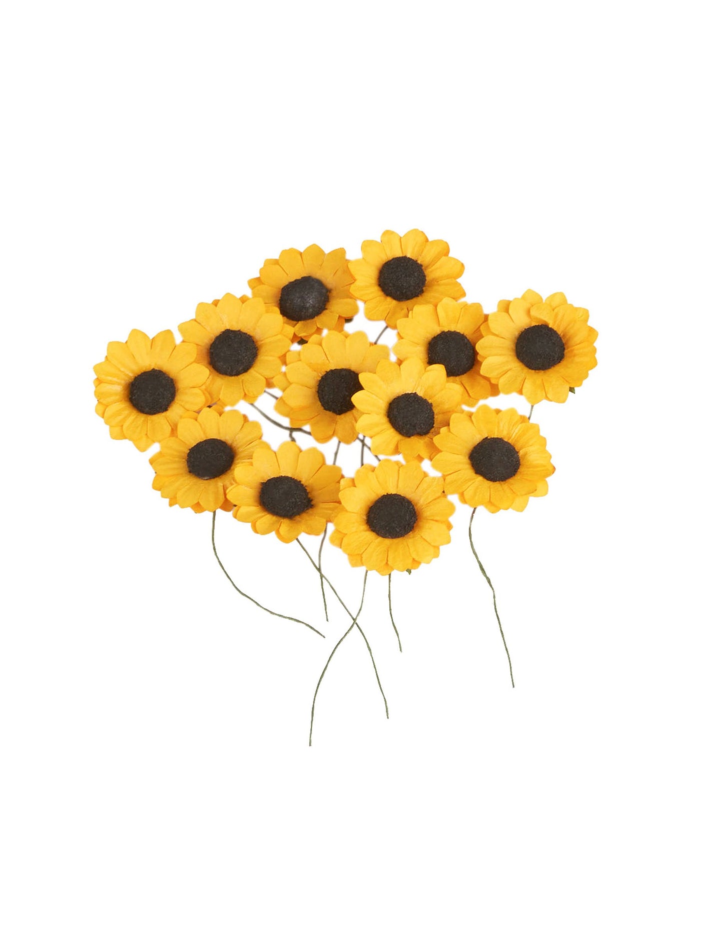 12 žutih poljskih cvjetova 2,5 cm tipa suncokreta 