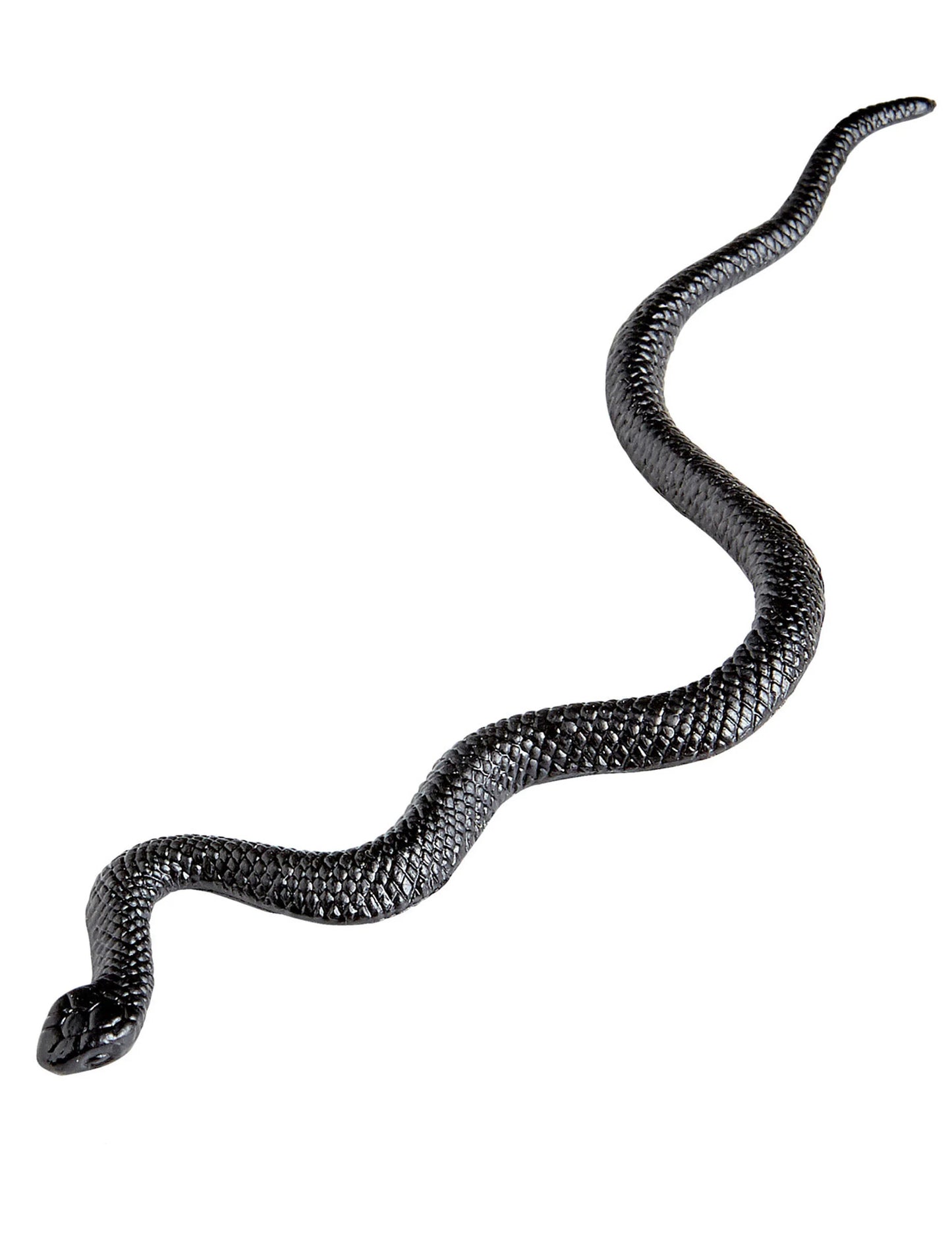 Gros plan sur un serpent du lot de 12 serpents pour enfant et adulte