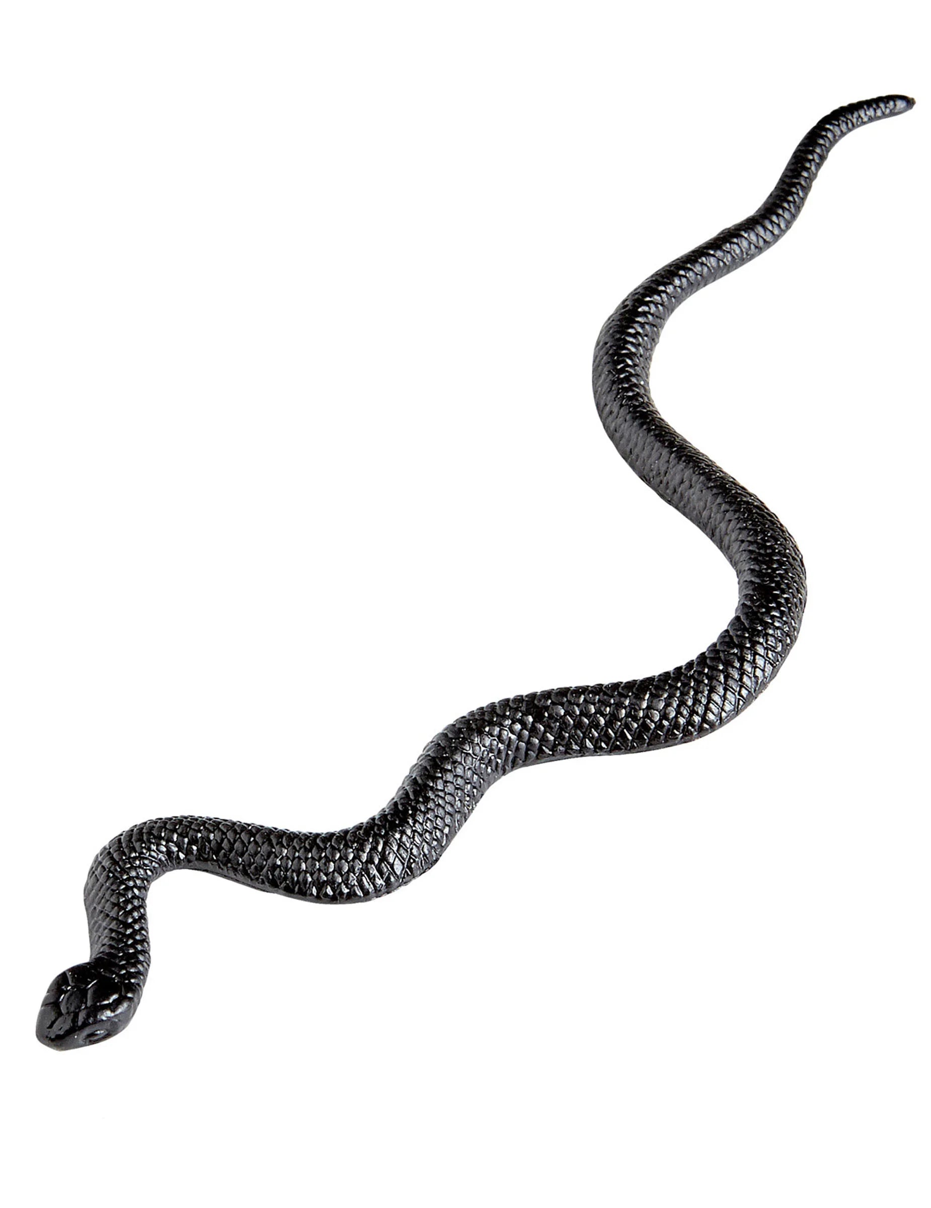 Gros plan sur un serpent du lot de 12 serpents pour enfant et adulte