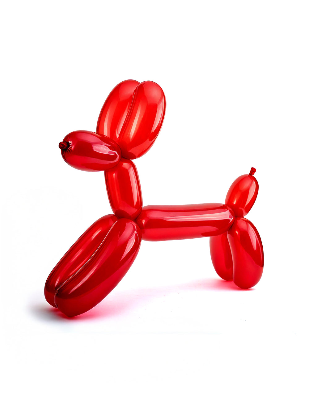 Sculpture de chien rouge des ballons à modeler pour enfant
