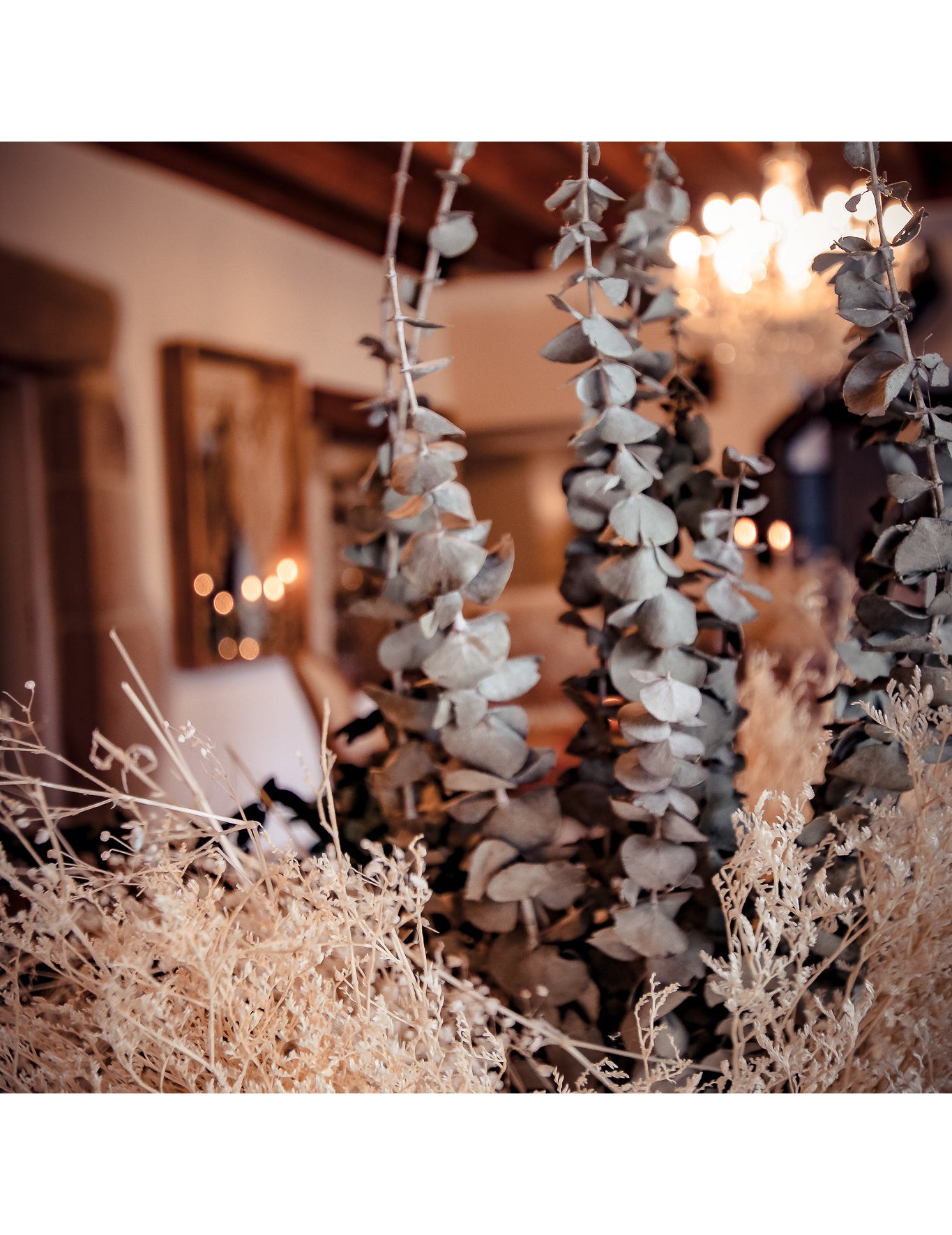 15 grana osušenog eukaliptusa 150 g 66 cm