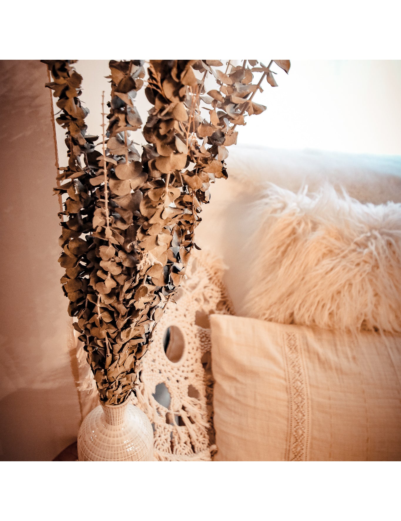 15 grana osušenog eukaliptusa 150 g 66 cm